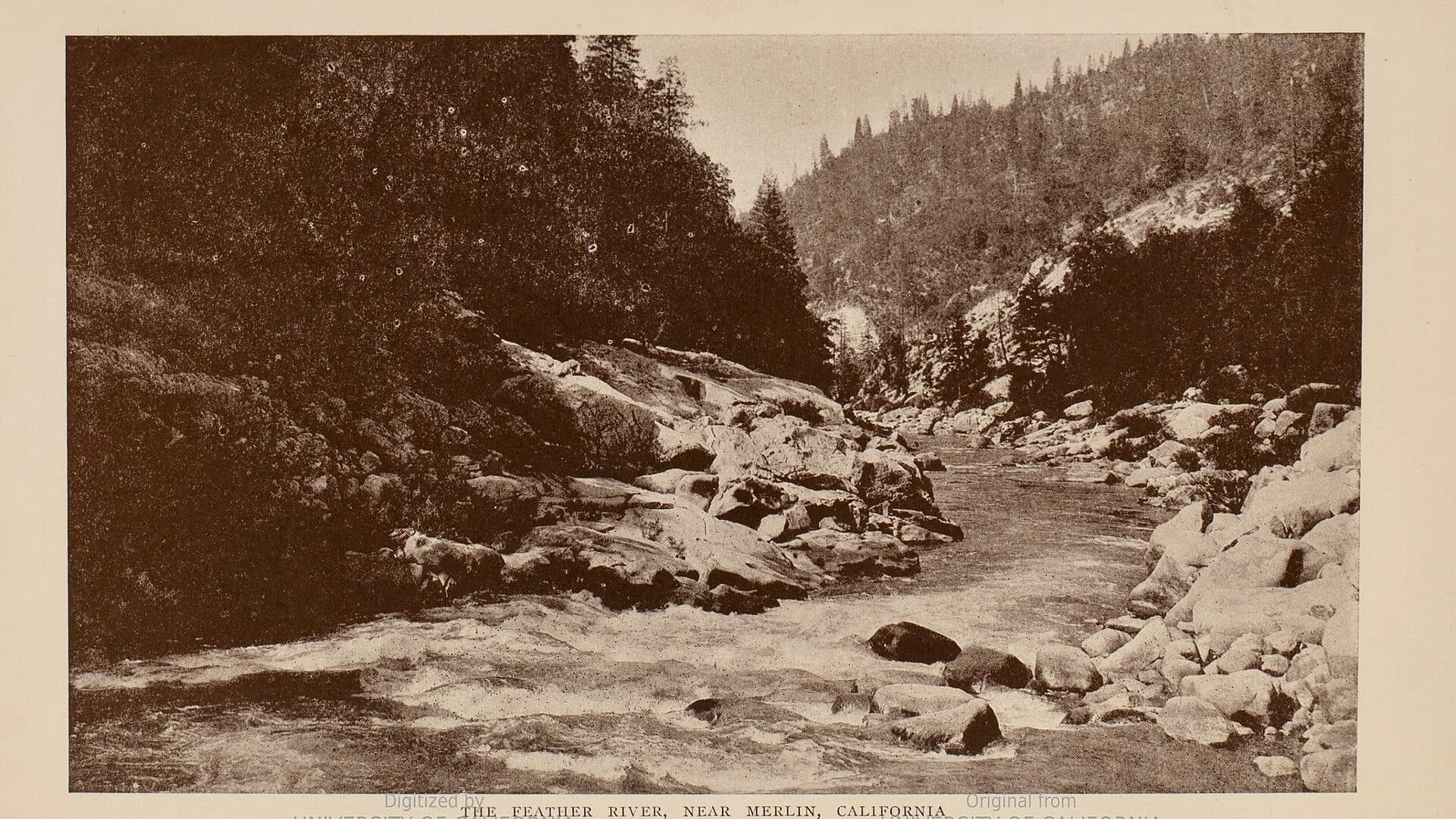 Historic Feather River water near Merlin California