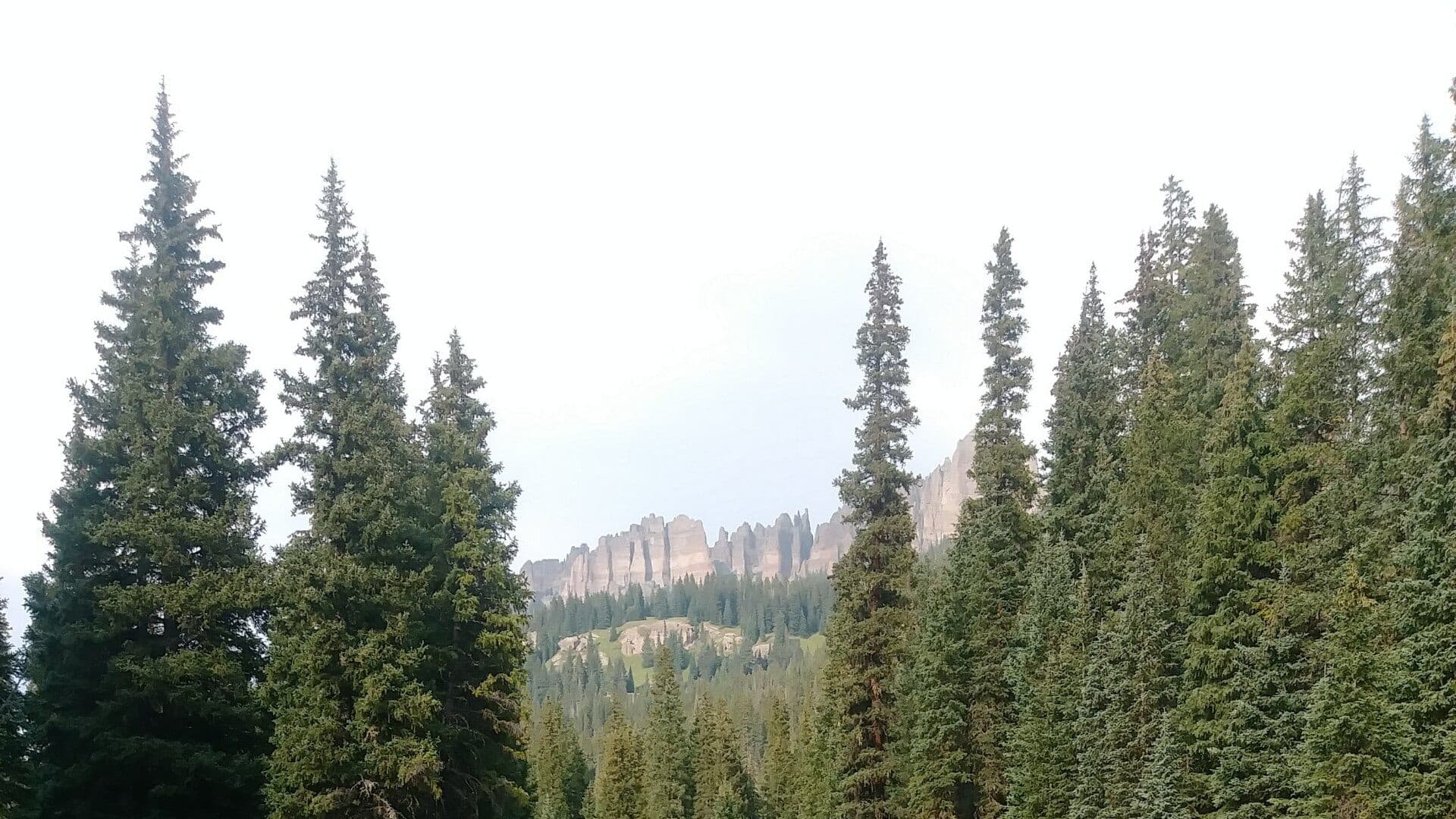 Cimarron River water or watershed scenery in Colorado