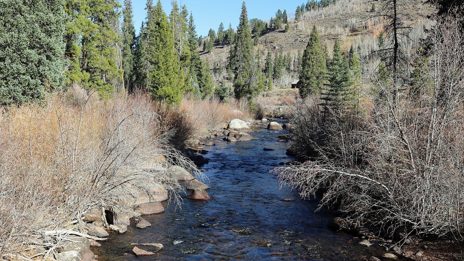 Fryingpan River at Norrie Colorado