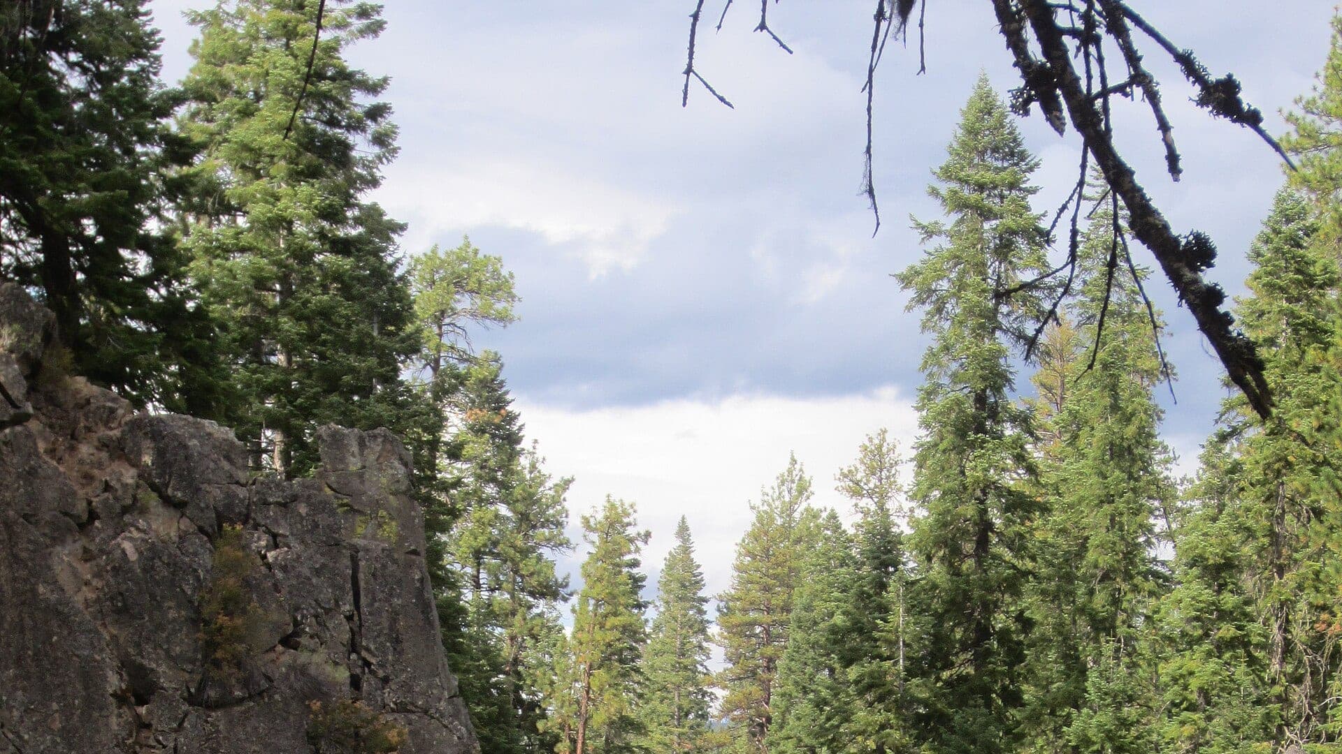 Deschutes River near Benham Falls Oregon