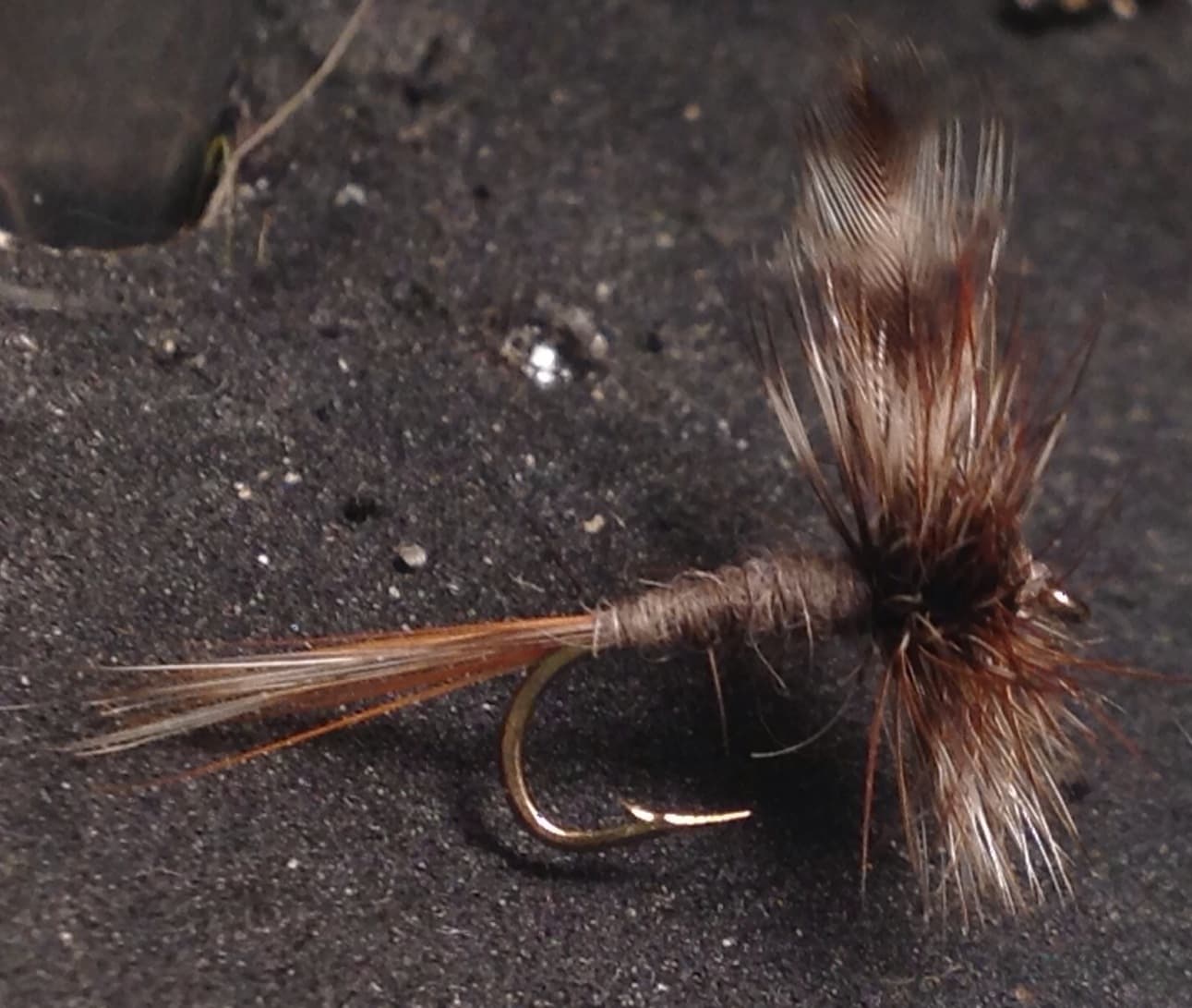 Standard Adams Dry Fly in close side profile on a dark foam background