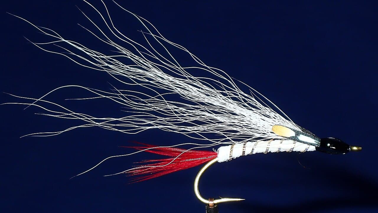 Macro side photograph of an Alaska Mary Ann bucktail streamer with a white wing and body, red tail, and black head