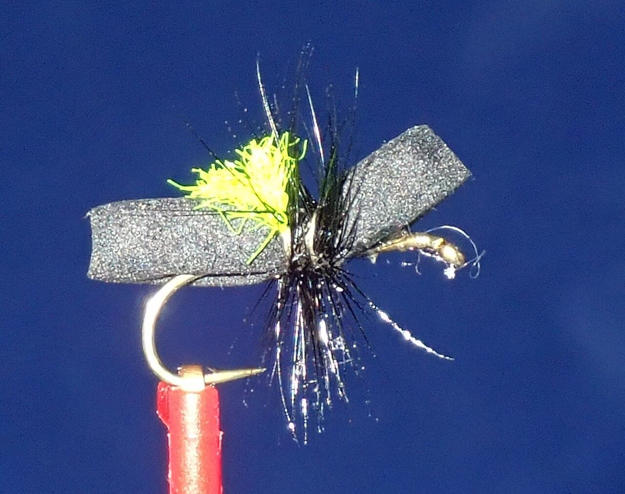 Side photograph of a black foam ant fly with two body lobes and a chartreuse sight spot