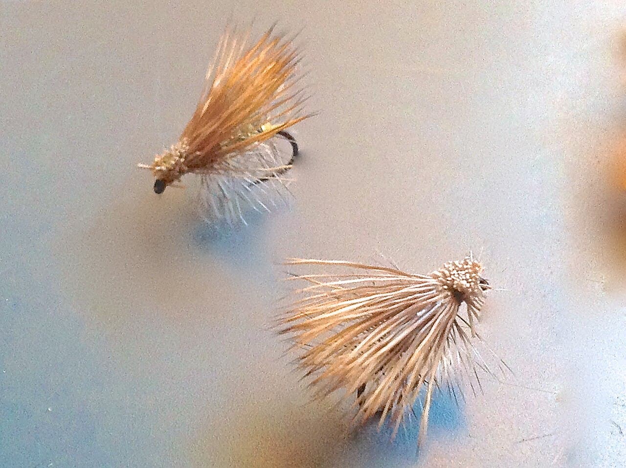 Two Elk Hair Caddis dry flies photographed together from different angles