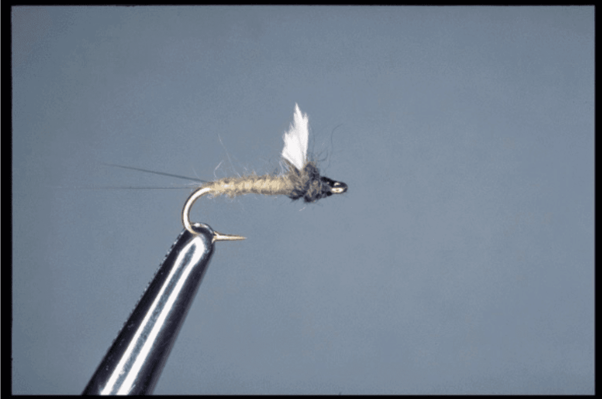 Finished original-style RS2 emerger in a vise with split tails, slim gray-tan dubbed body, dark thorax, and short clipped wing