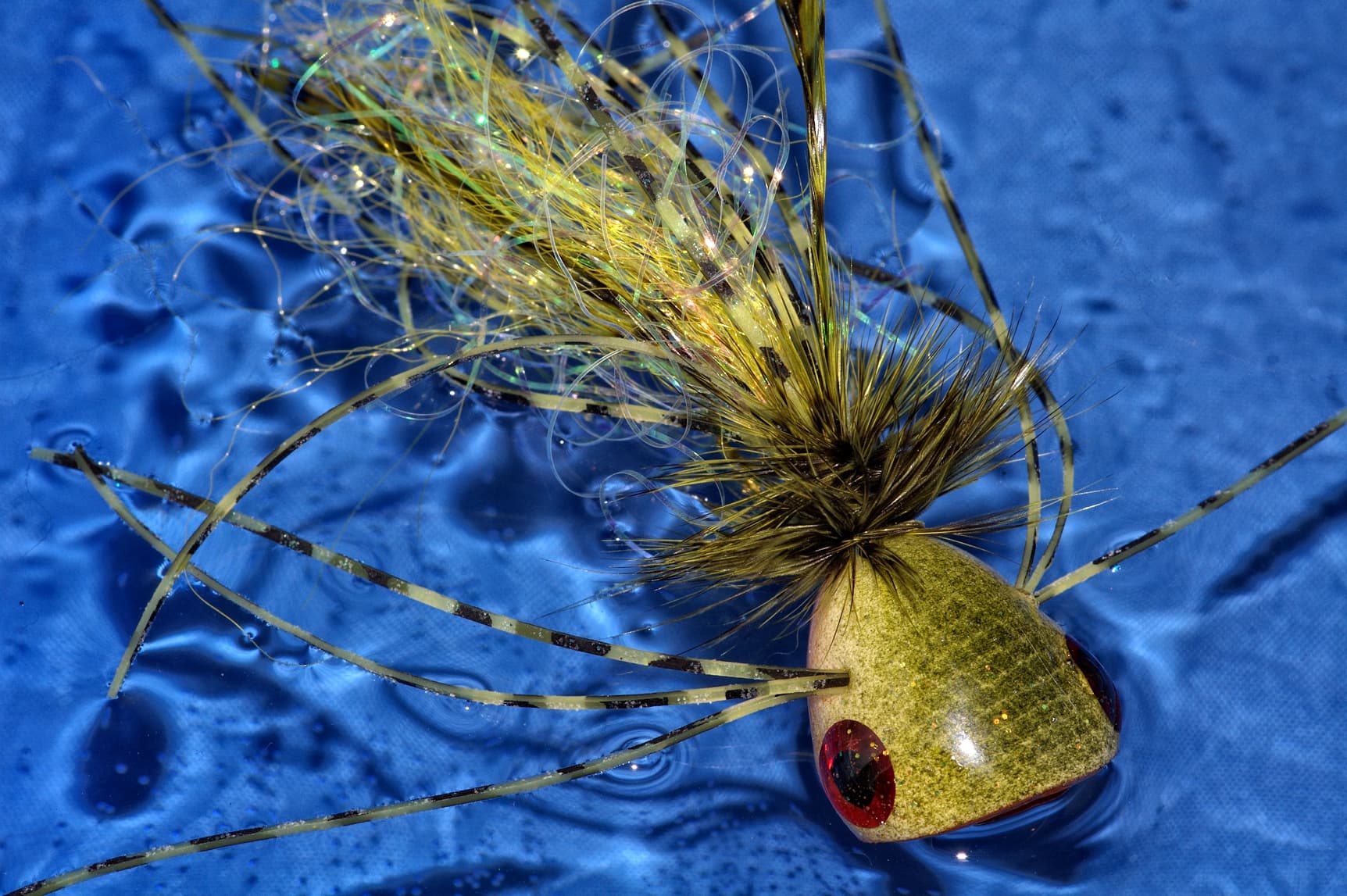 Macro photograph of a large olive bass popper with a recessed face, long barred rubber legs, dark hackle, and a flashy tail