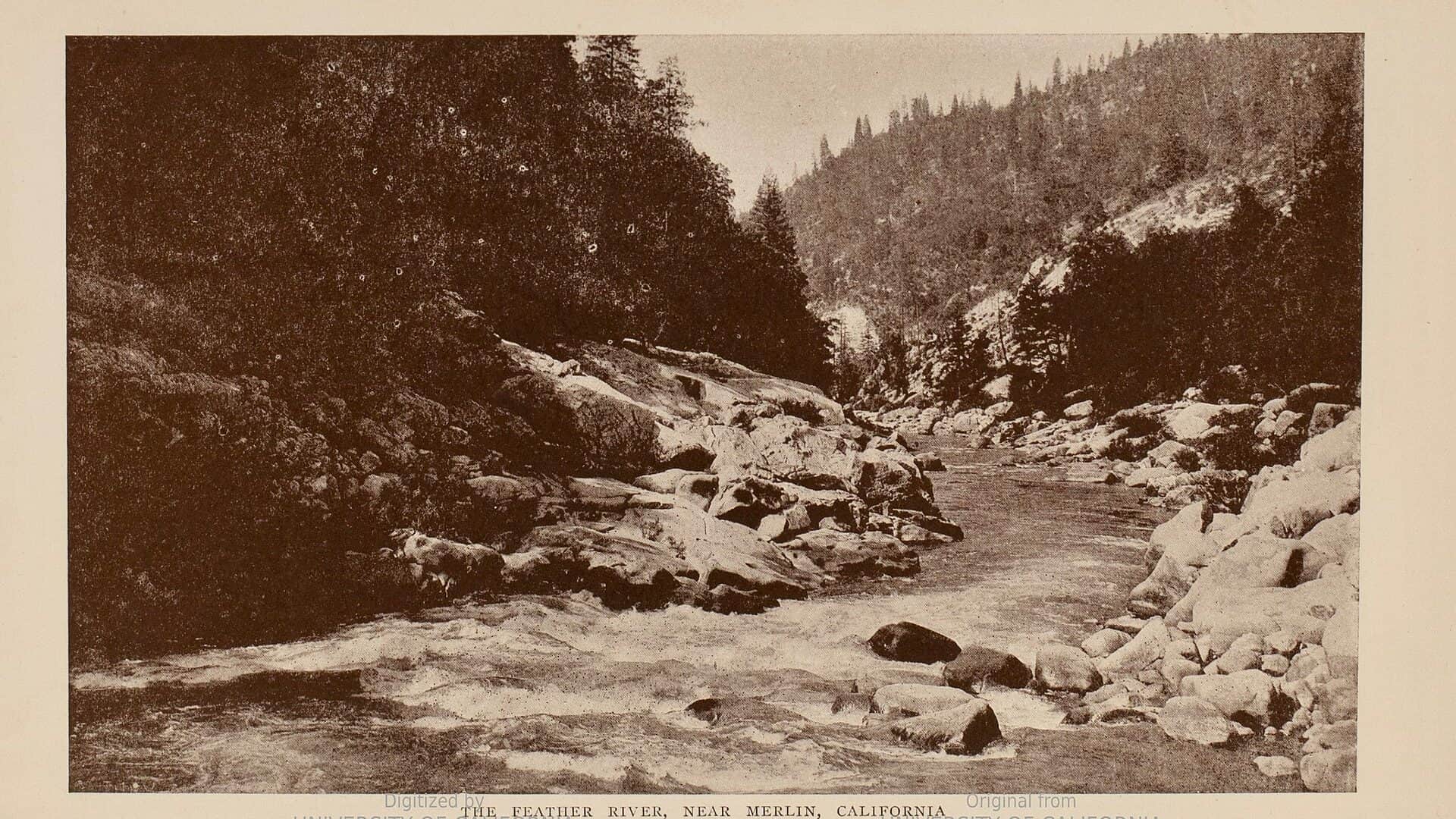 Historic Feather River water near Merlin California