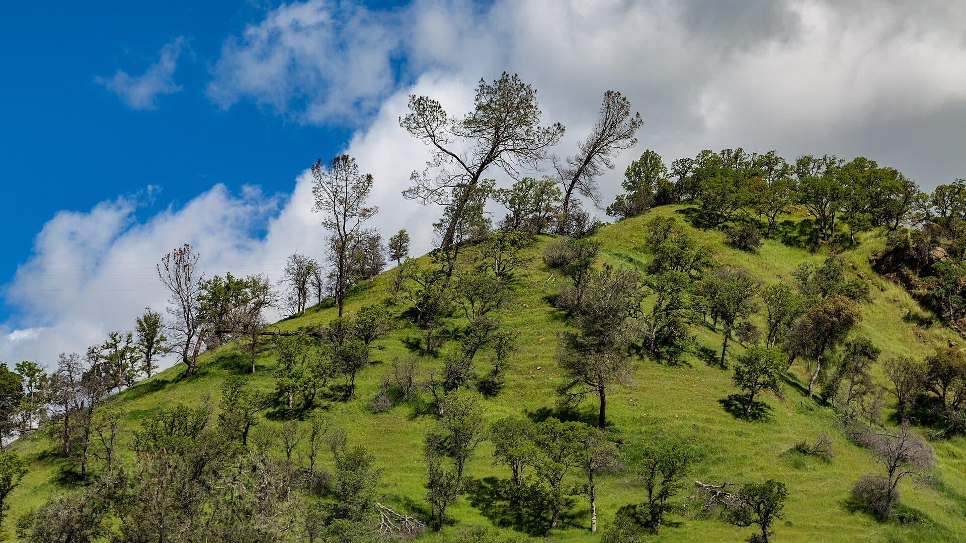 Putah Creek flowing through Thompson Canyon California