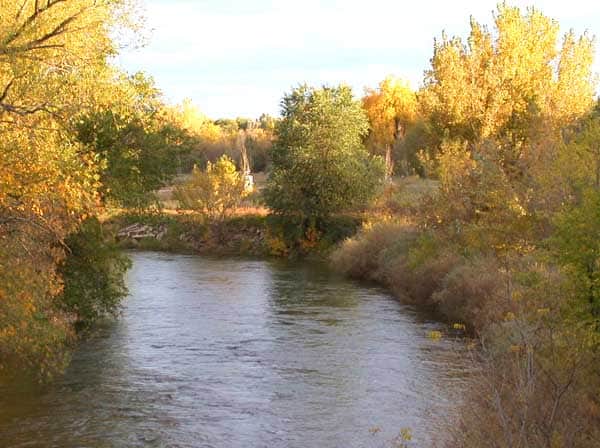 Cache La Poudre River flowing through northern Fort Collins Colorado