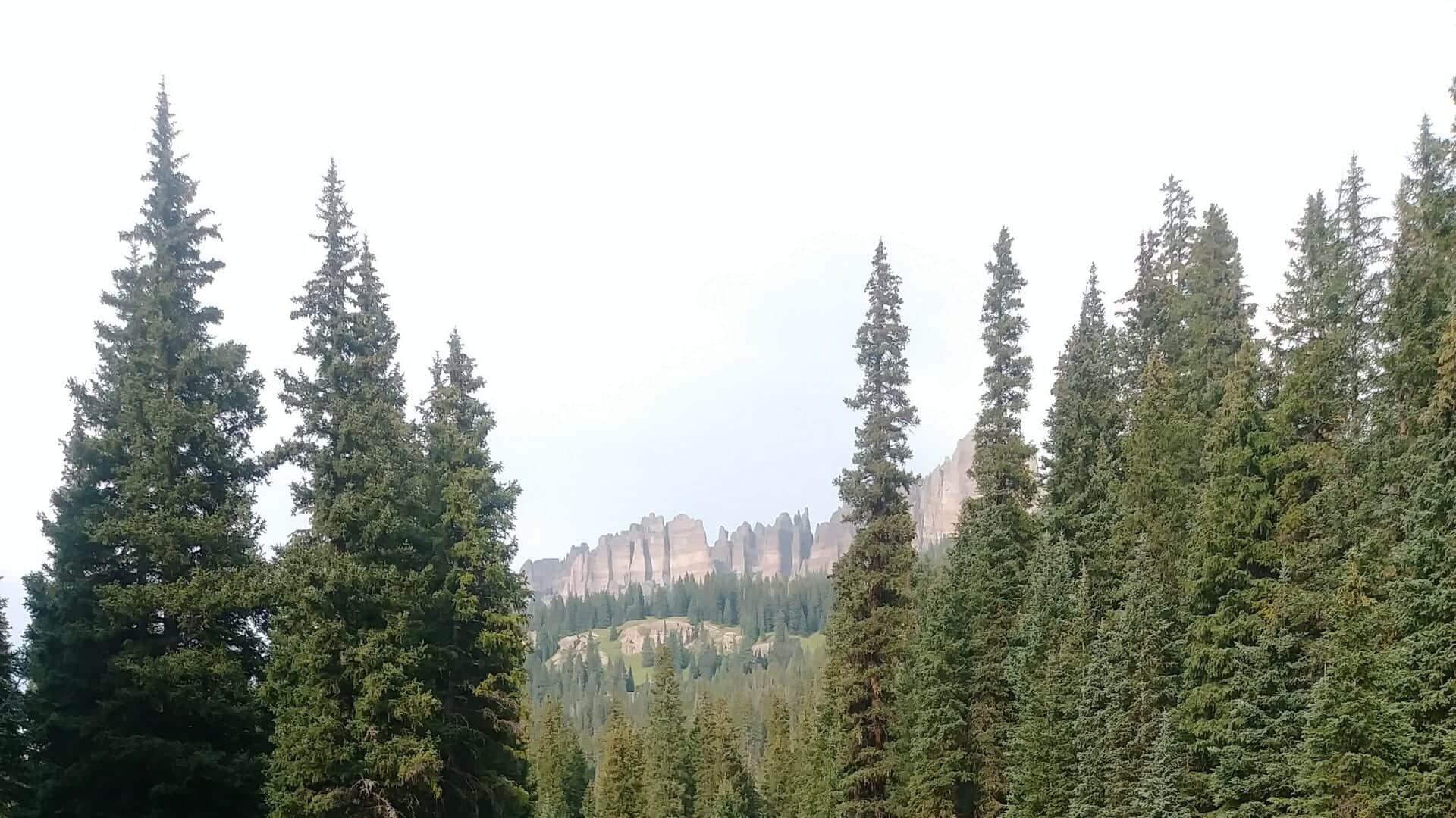 Cimarron River water or watershed scenery in Colorado