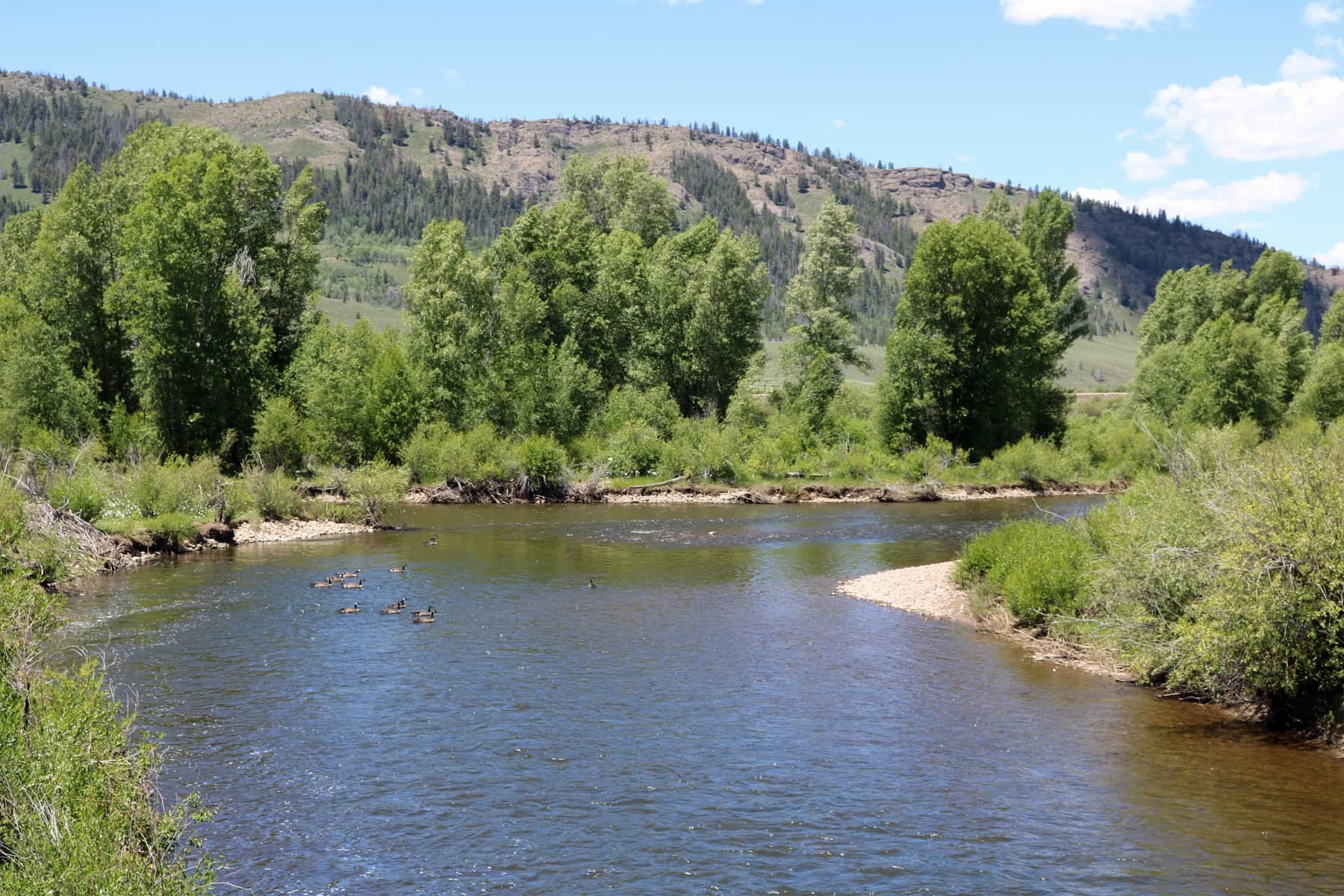 Fraser River joining the Colorado River near Granby Colorado