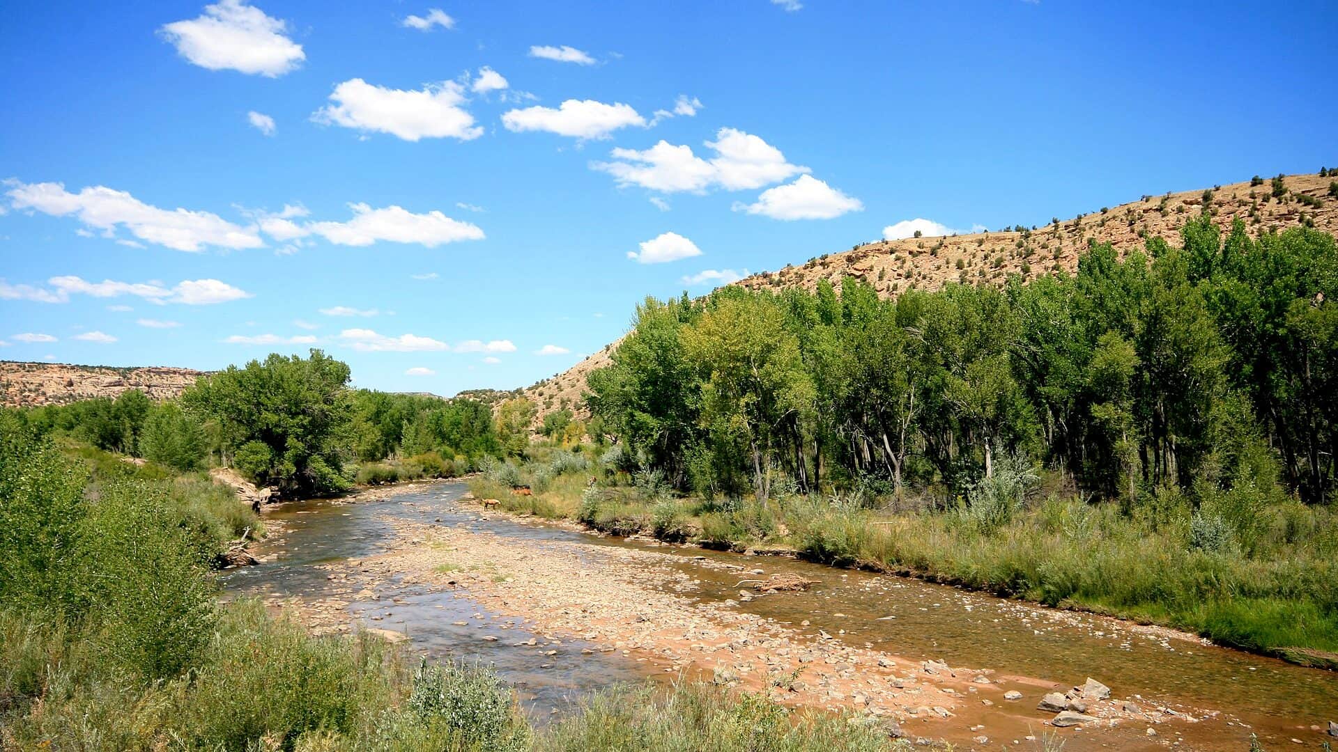 San Miguel River near Nucla Colorado