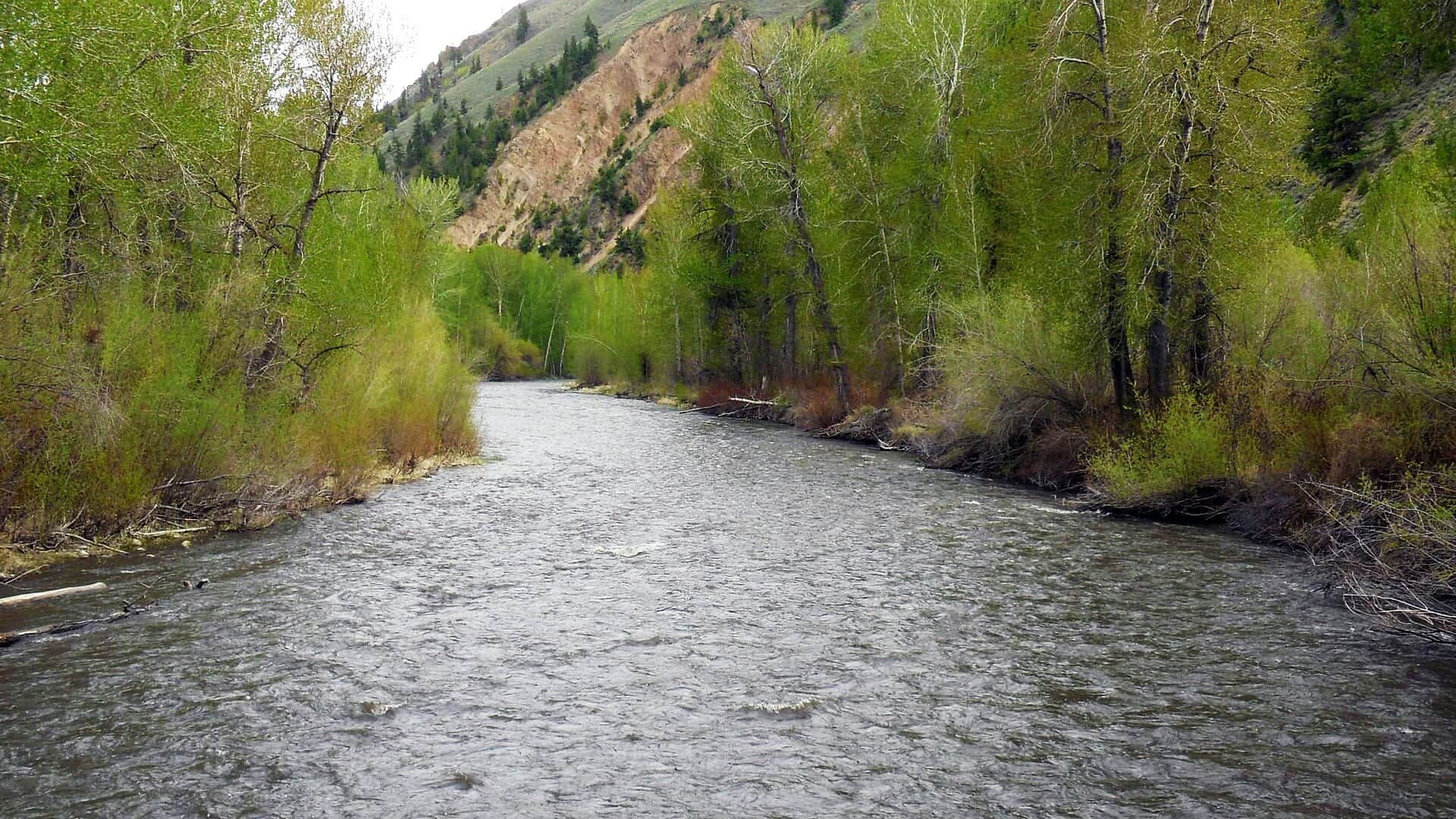 Big Wood River water or watershed scenery in Idaho
