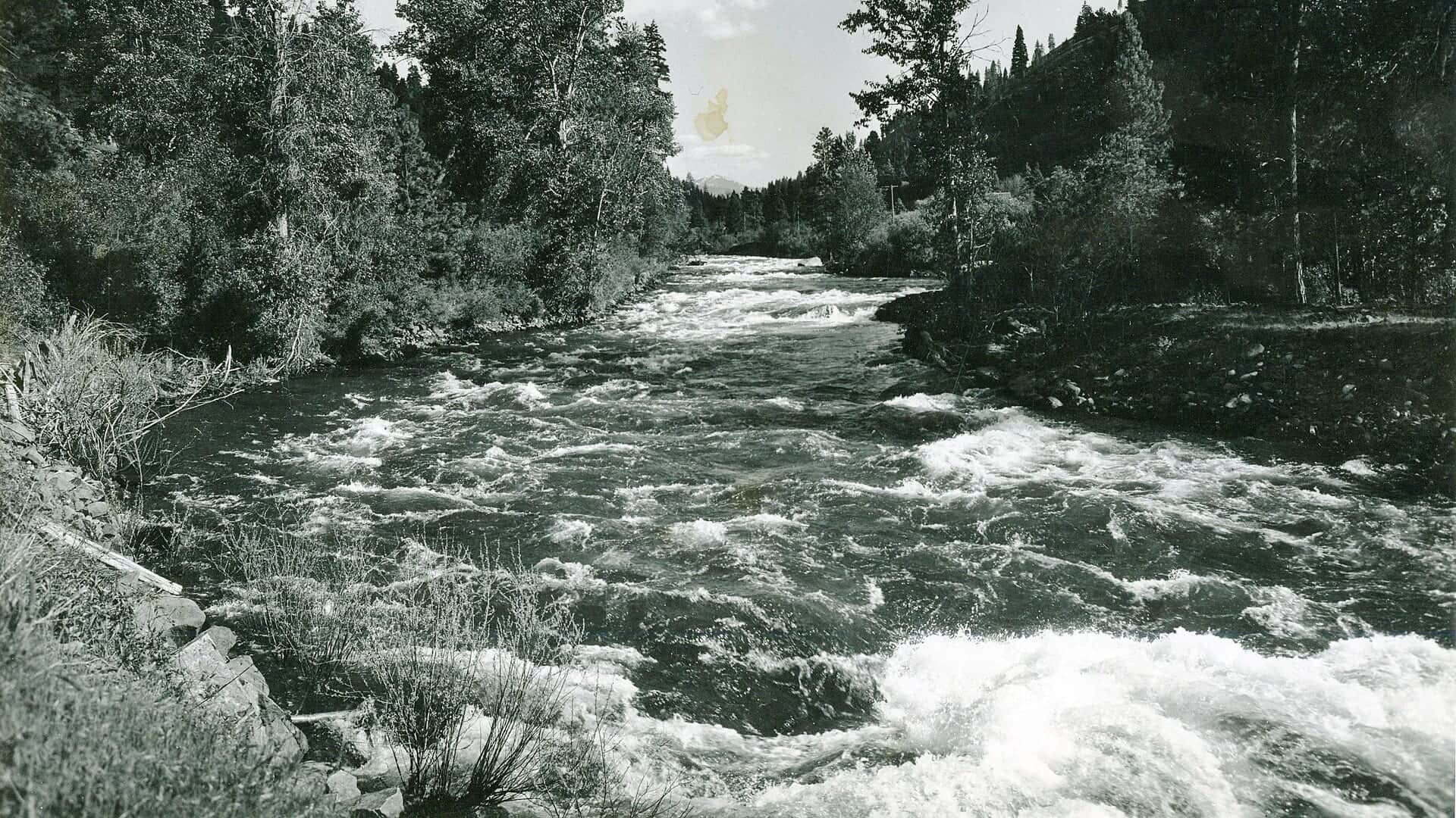 Little Salmon River water in Idaho