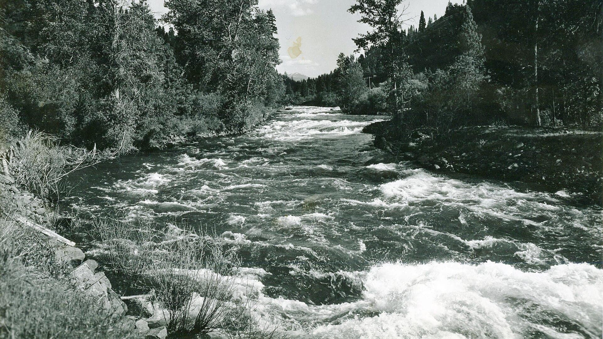 Little Salmon River water in Idaho