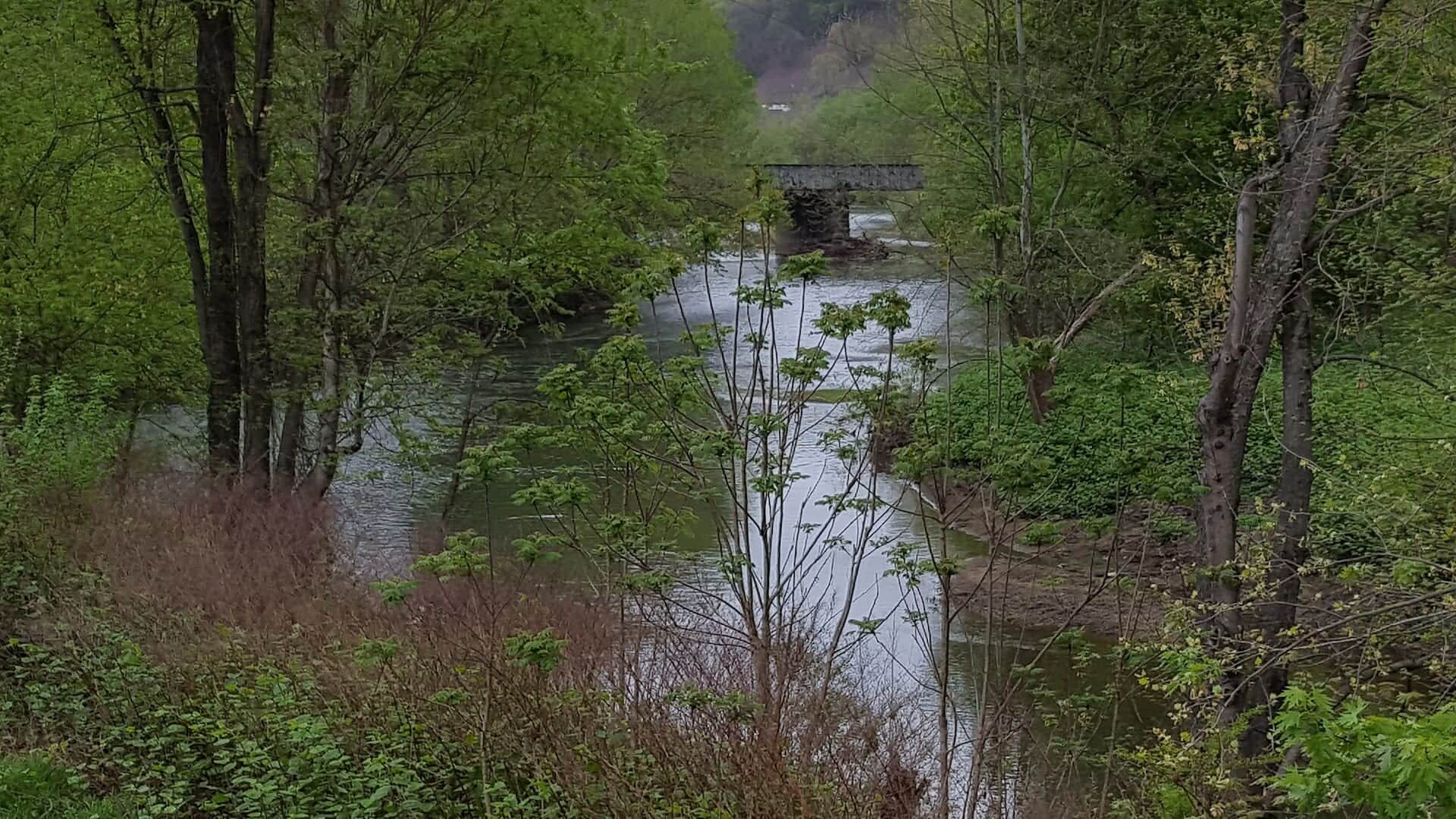 Cumberland River water or watershed scenery in Kentucky