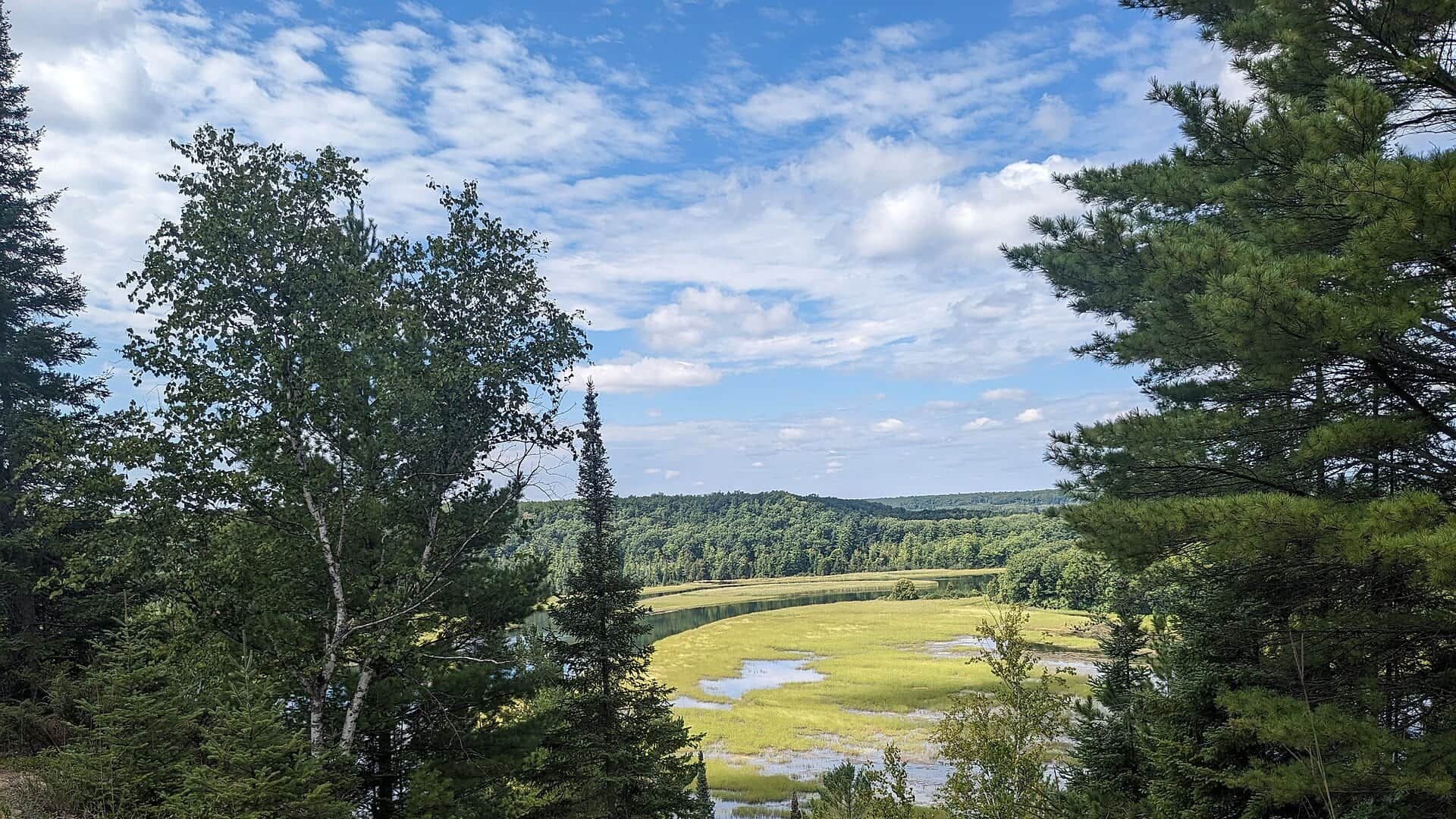 Au Sable River water or watershed scenery in Michigan