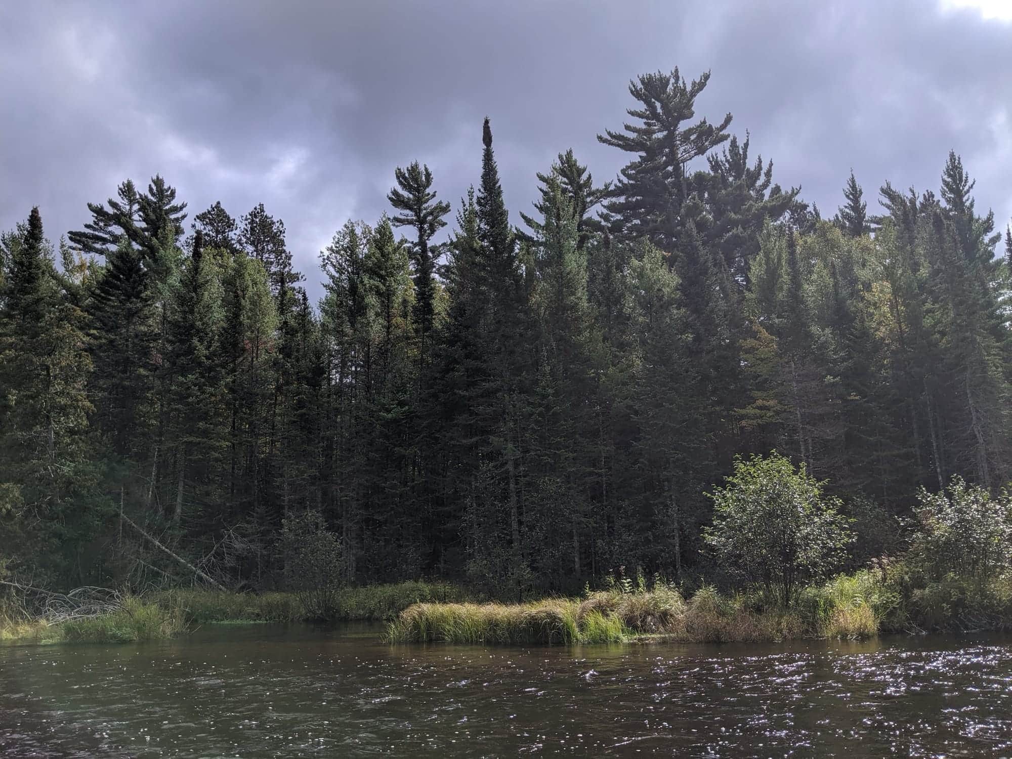 The South Branch Au Sable River flowing through the Mason Tract in Michigan