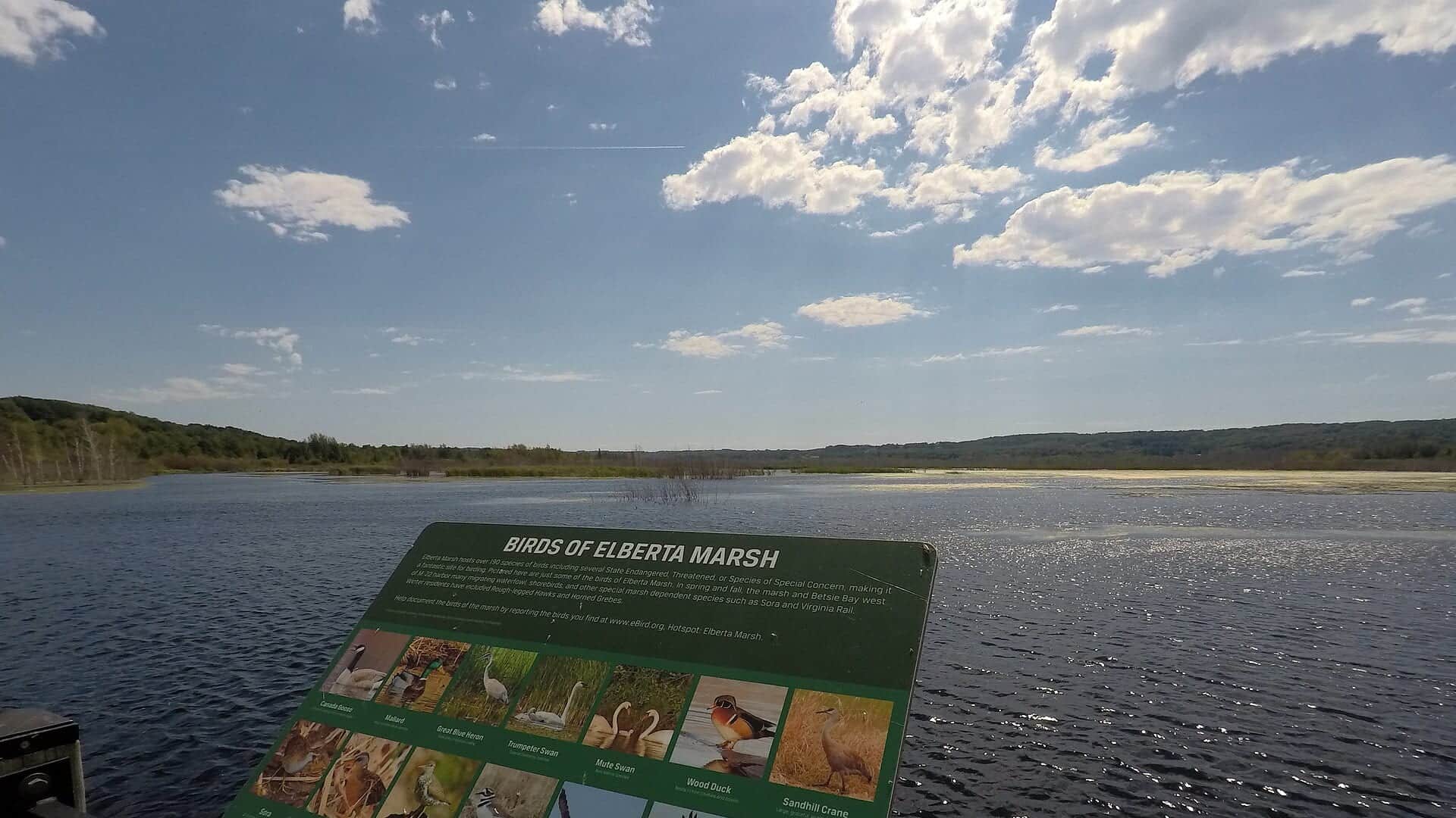 Betsie River water or watershed scenery in Michigan