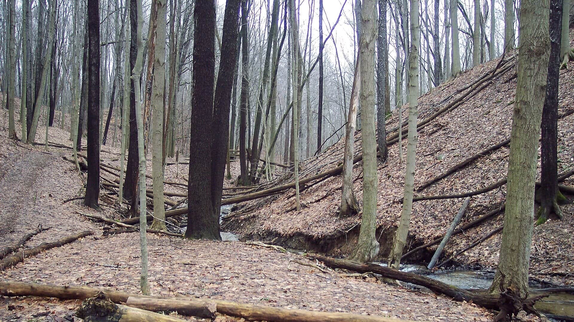 Kalamazoo River water or watershed scenery in Michigan