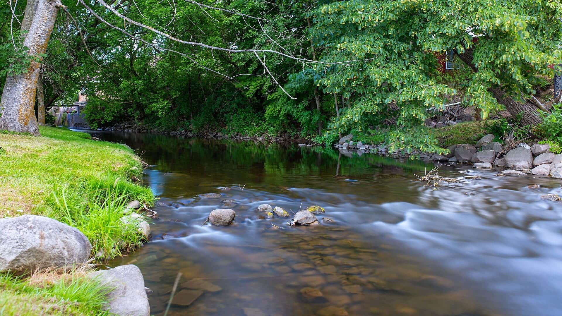 Muskegon River water or watershed scenery in Michigan