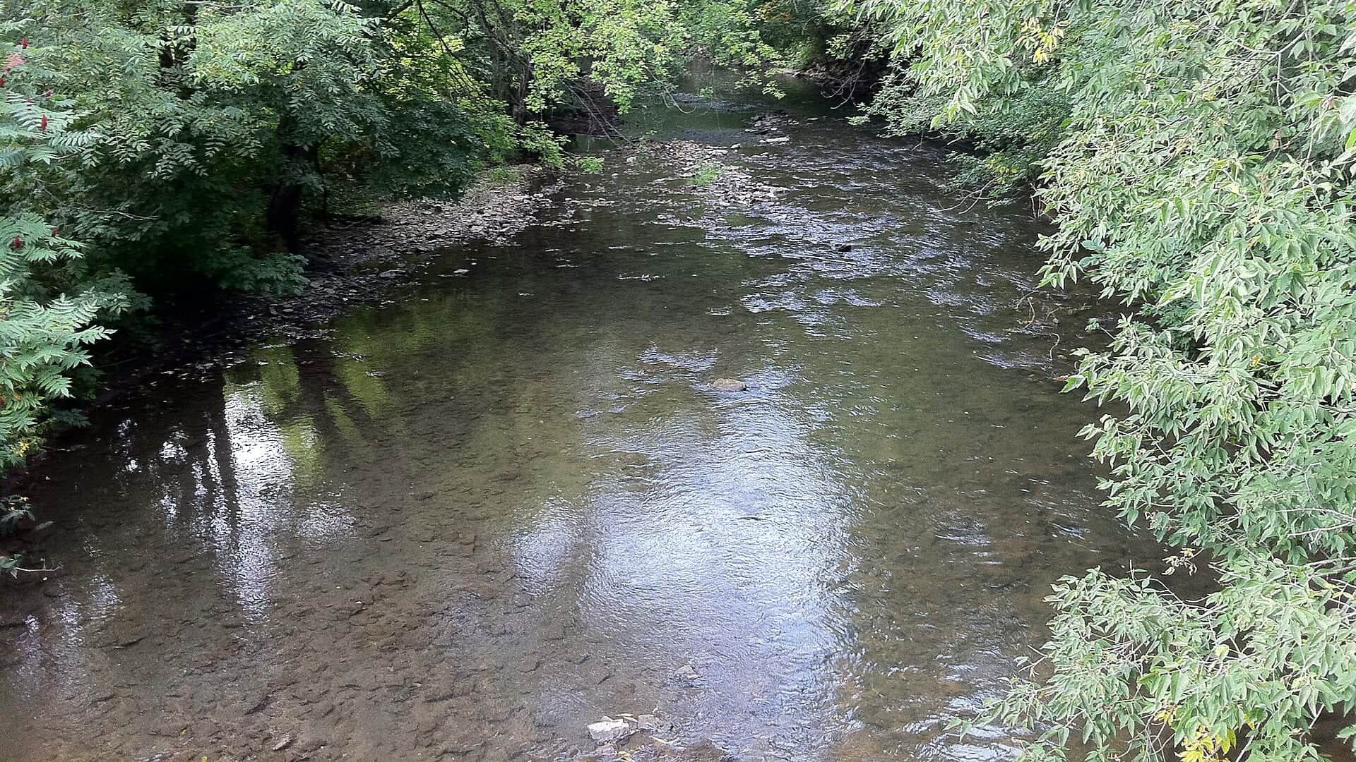 South Branch Root River water or watershed scenery in Minnesota