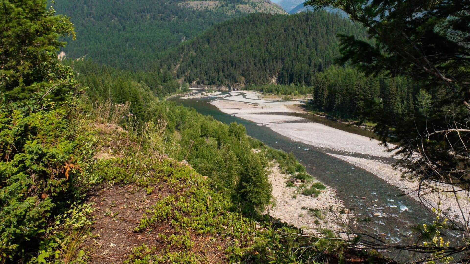 Middle Fork Flathead River water or watershed scenery in Montana