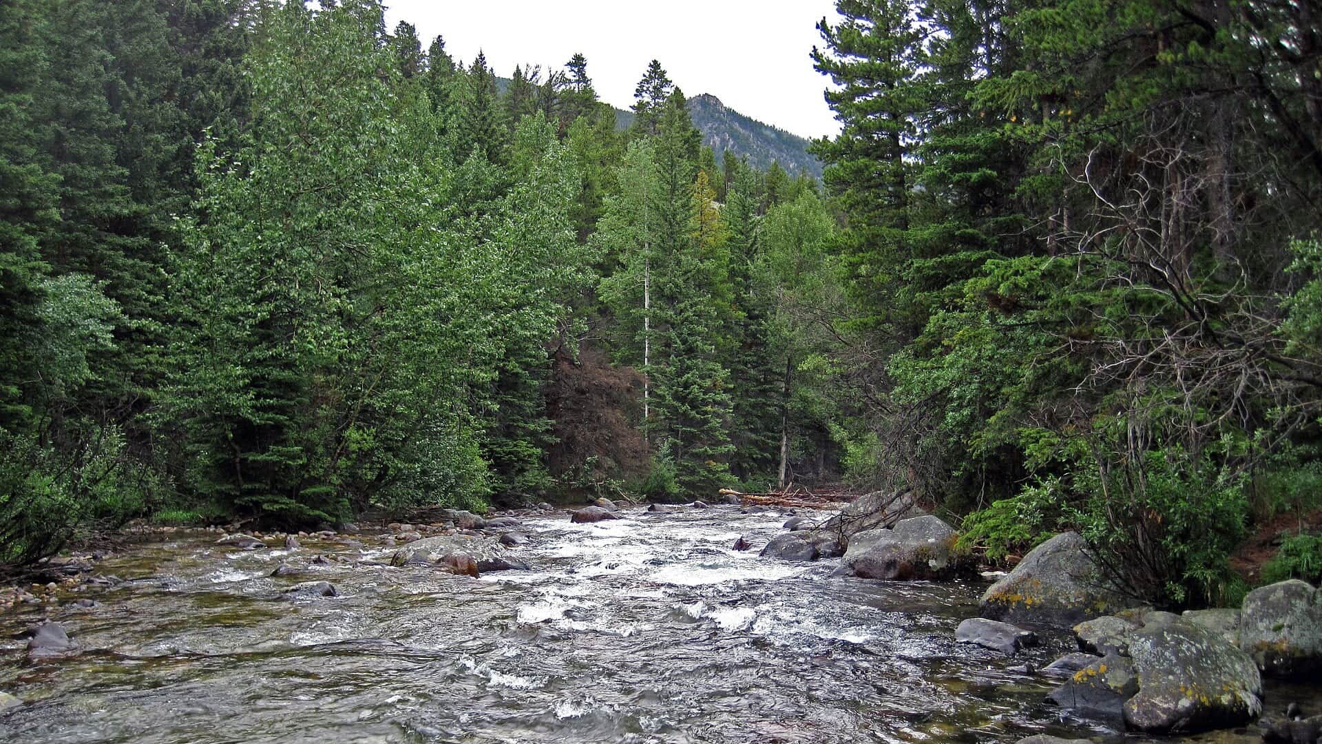 Rock Creek flowing through Montana canyon country