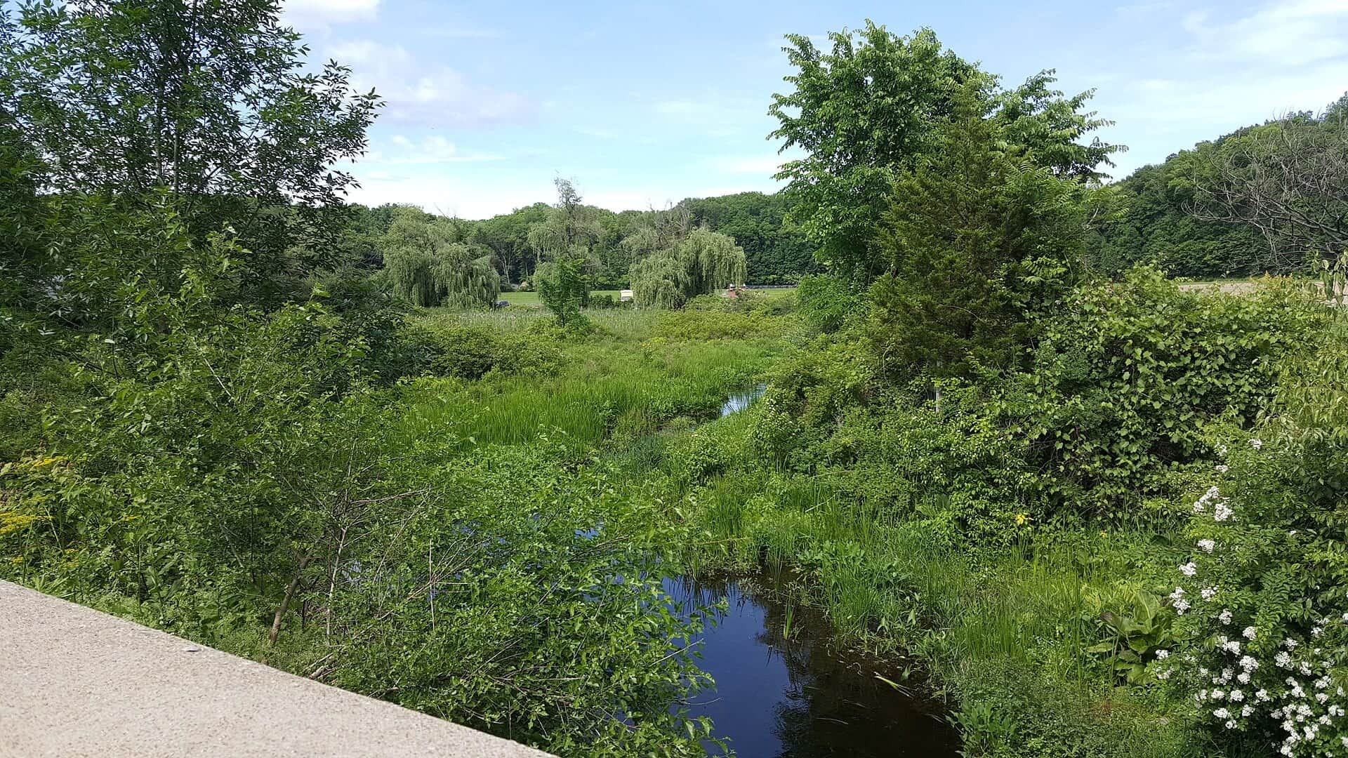 Pequest River water or watershed scenery in New Jersey