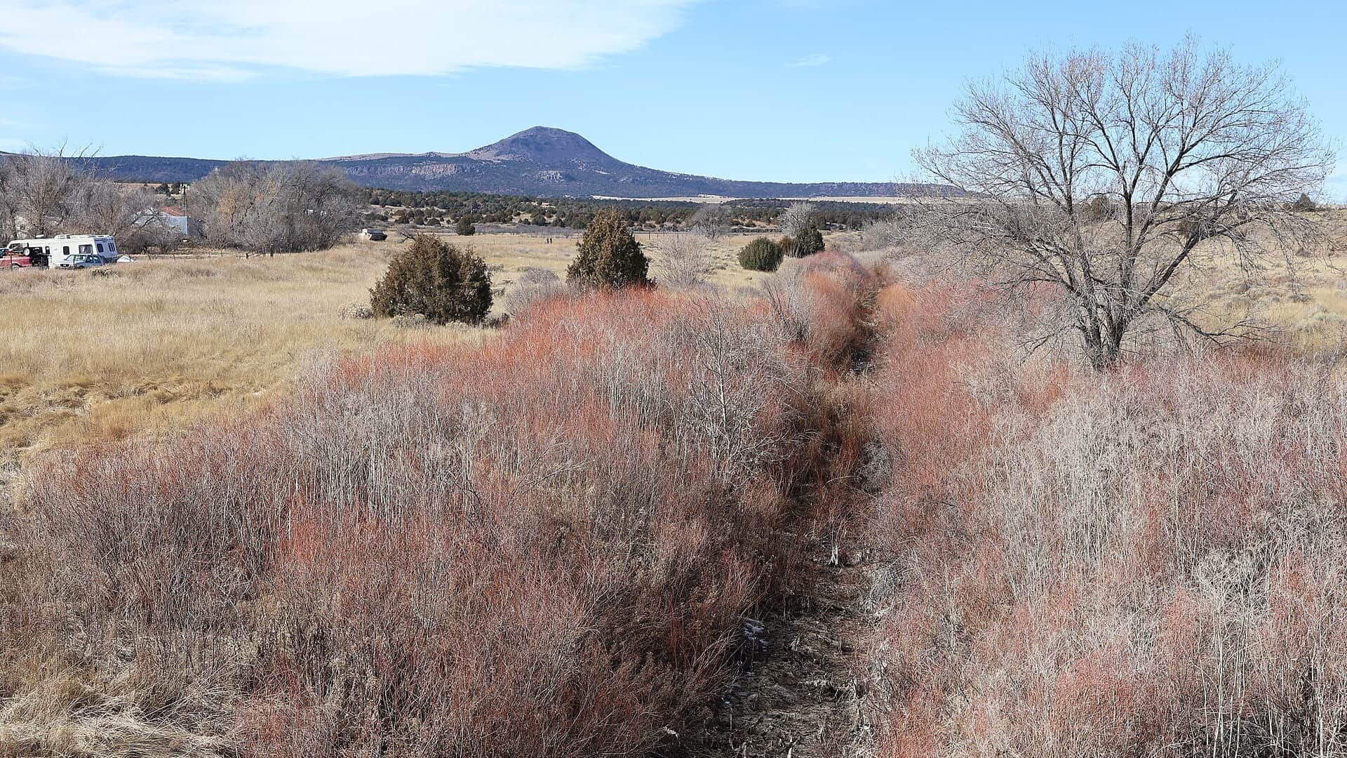 Cimarron River water or watershed scenery in New Mexico