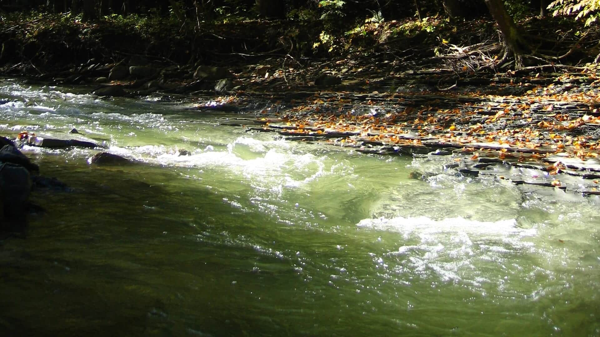 Historical October 2006 view of Chautauqua Creek in Westfield, New York