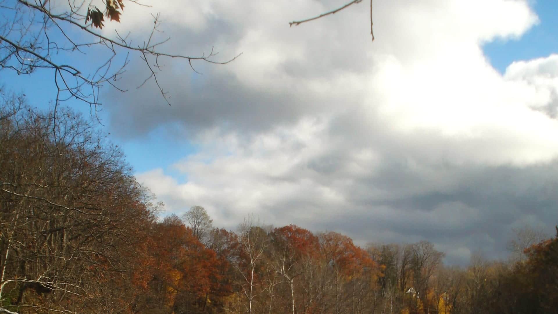 Salmon River water at Pulaski New York