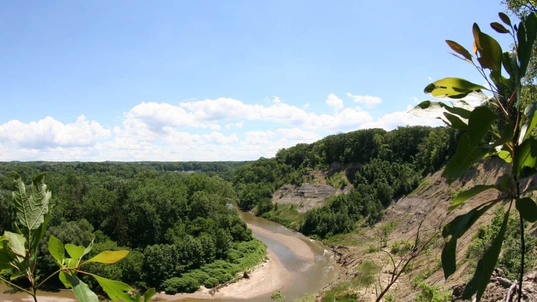 Chagarin Chagrin River Fishability Today | Fly Fishing Report