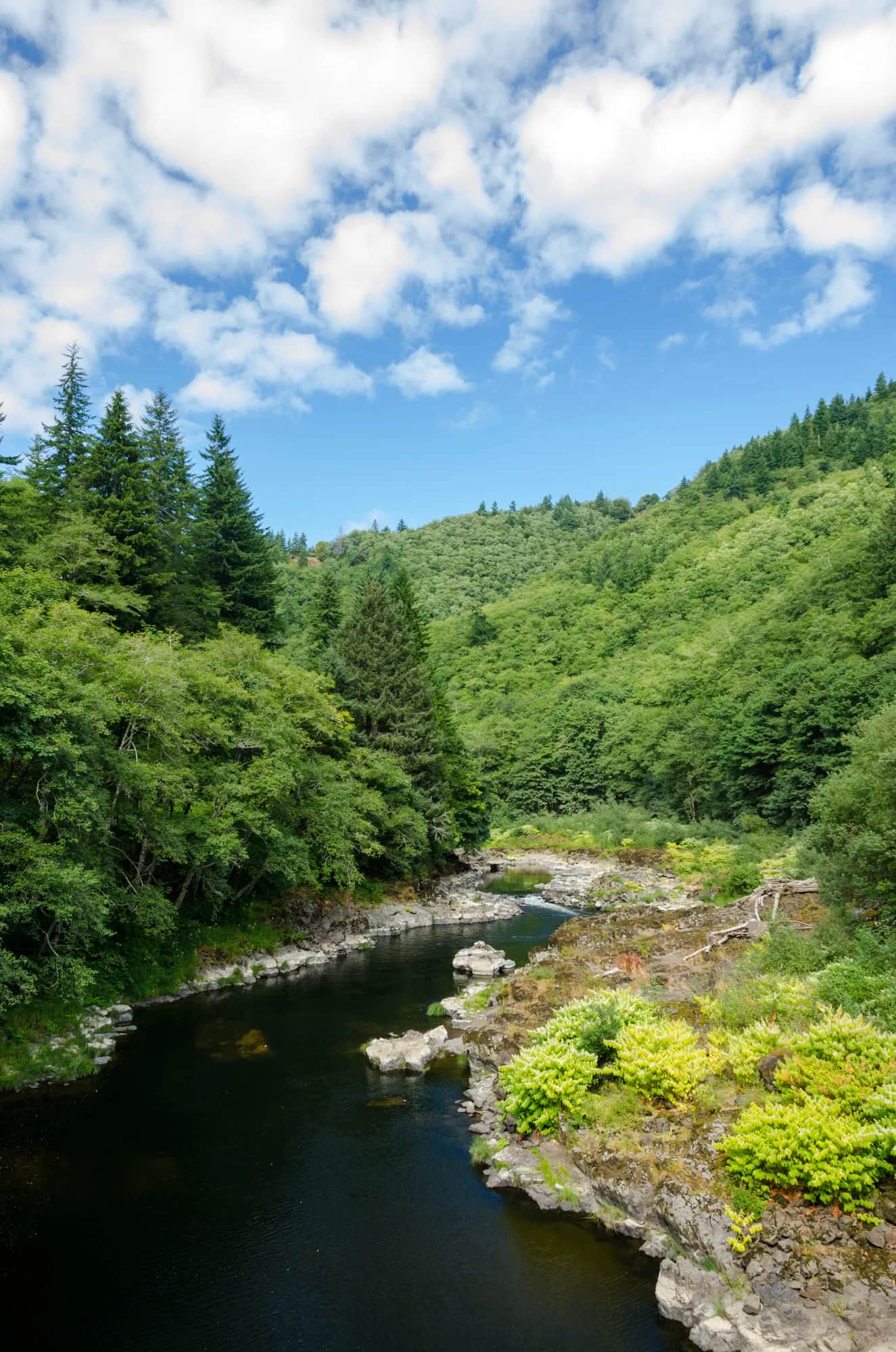 Nehalem River flowing through a forested canyon from Foss Road in Tillamook County, Oregon
