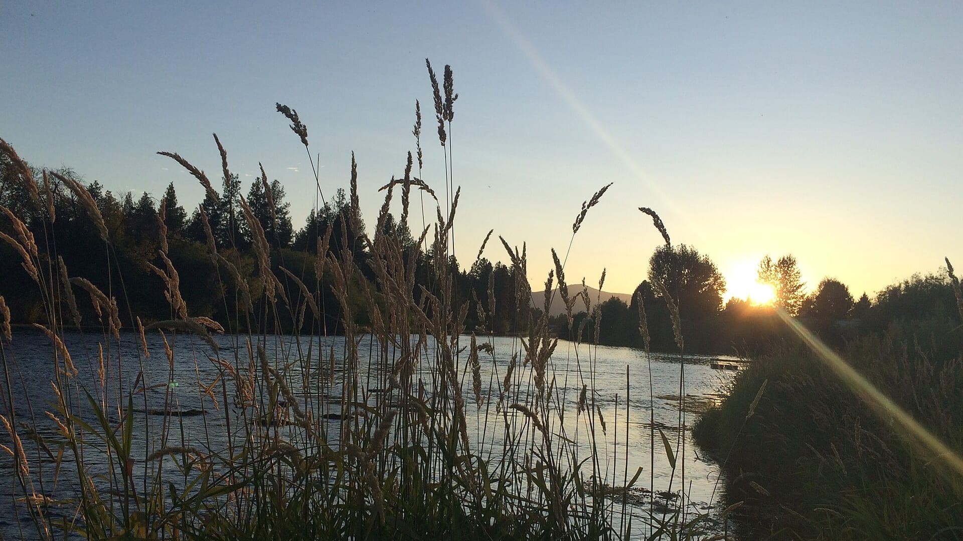 Williamson River in Oregon