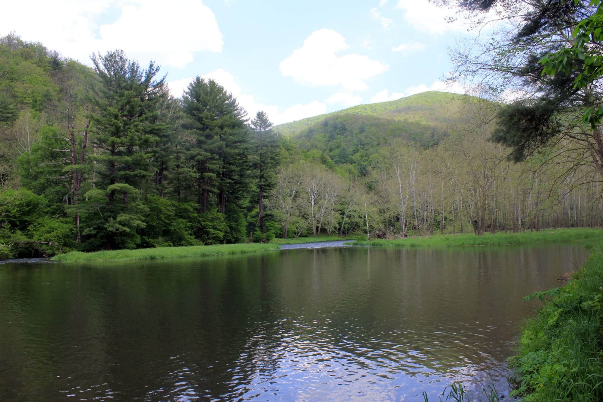 A real regional stream view in Sinnemahoning State Park, used as context rather than an exact Wharton access photograph