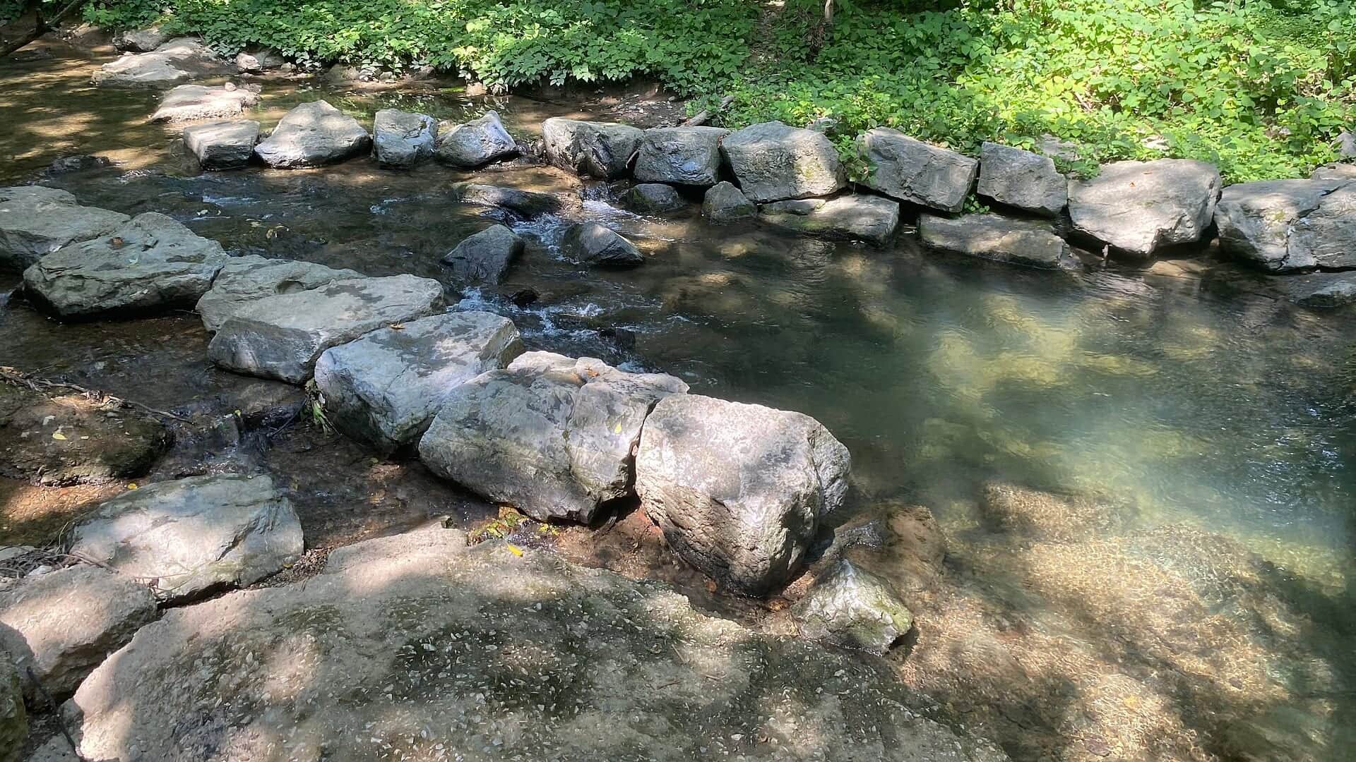 Spring Creek water or watershed scenery in Pennsylvania