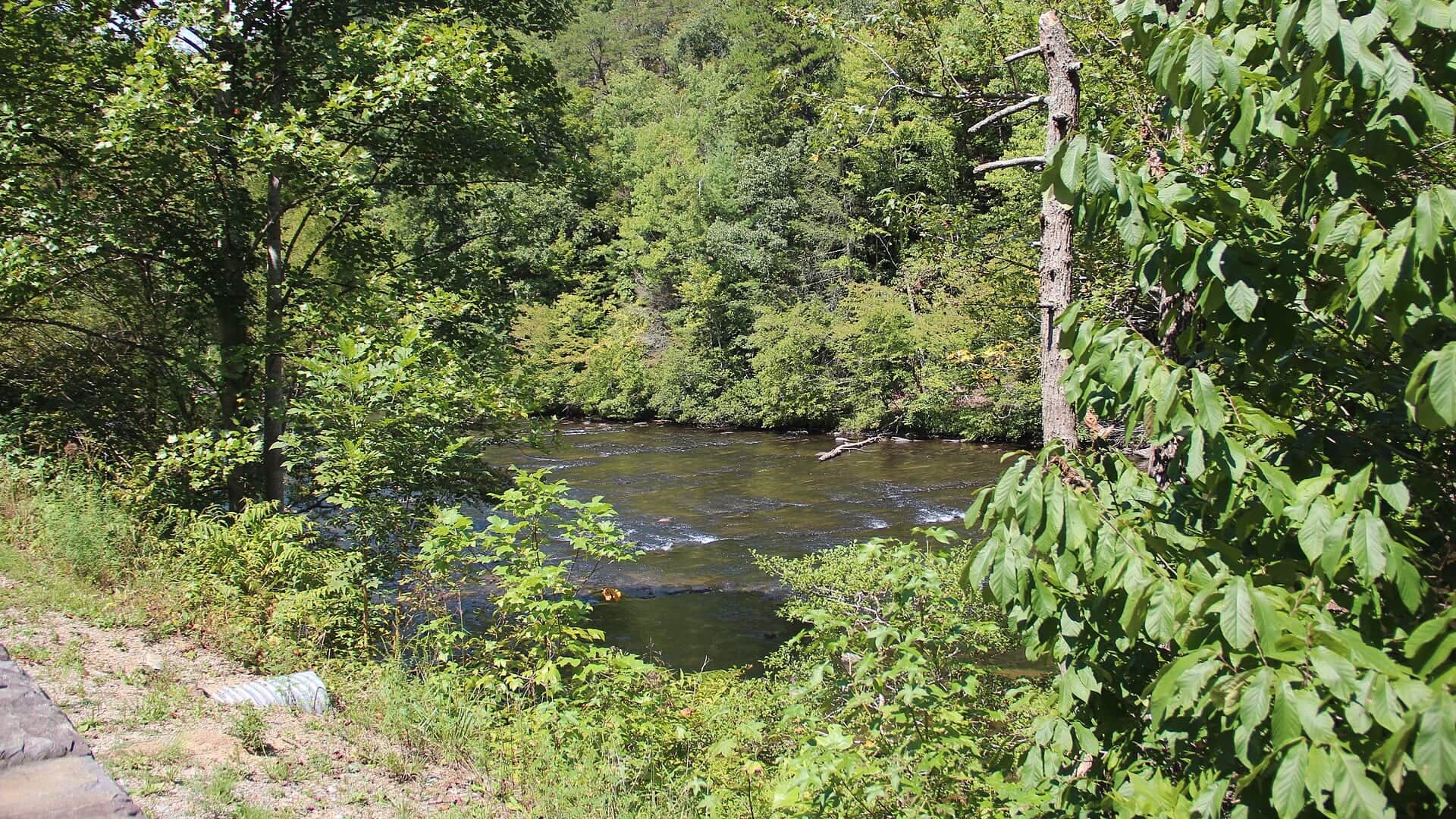 Tellico River water in Tennessee