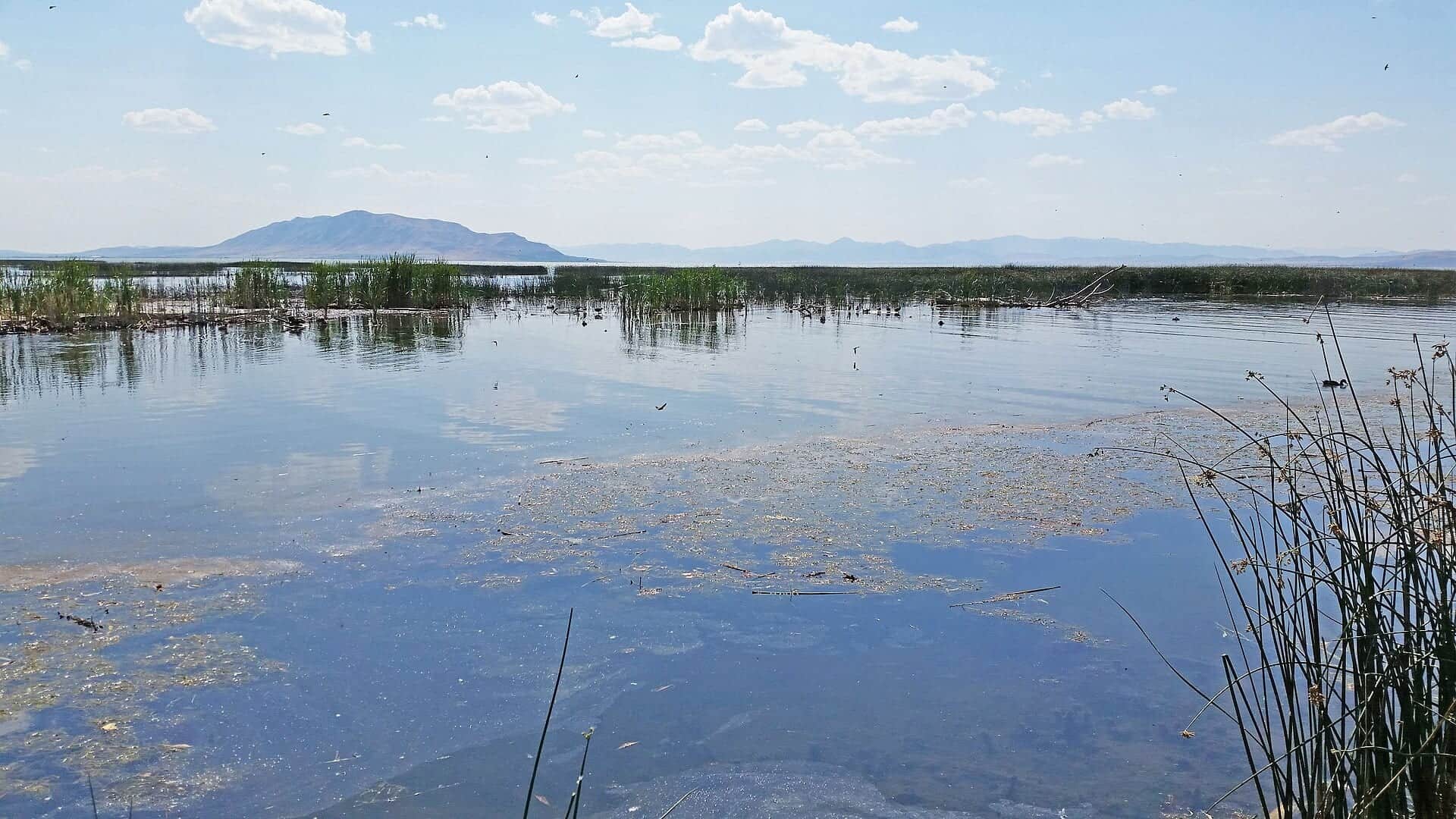 Mouth of the Provo River in Utah County Utah
