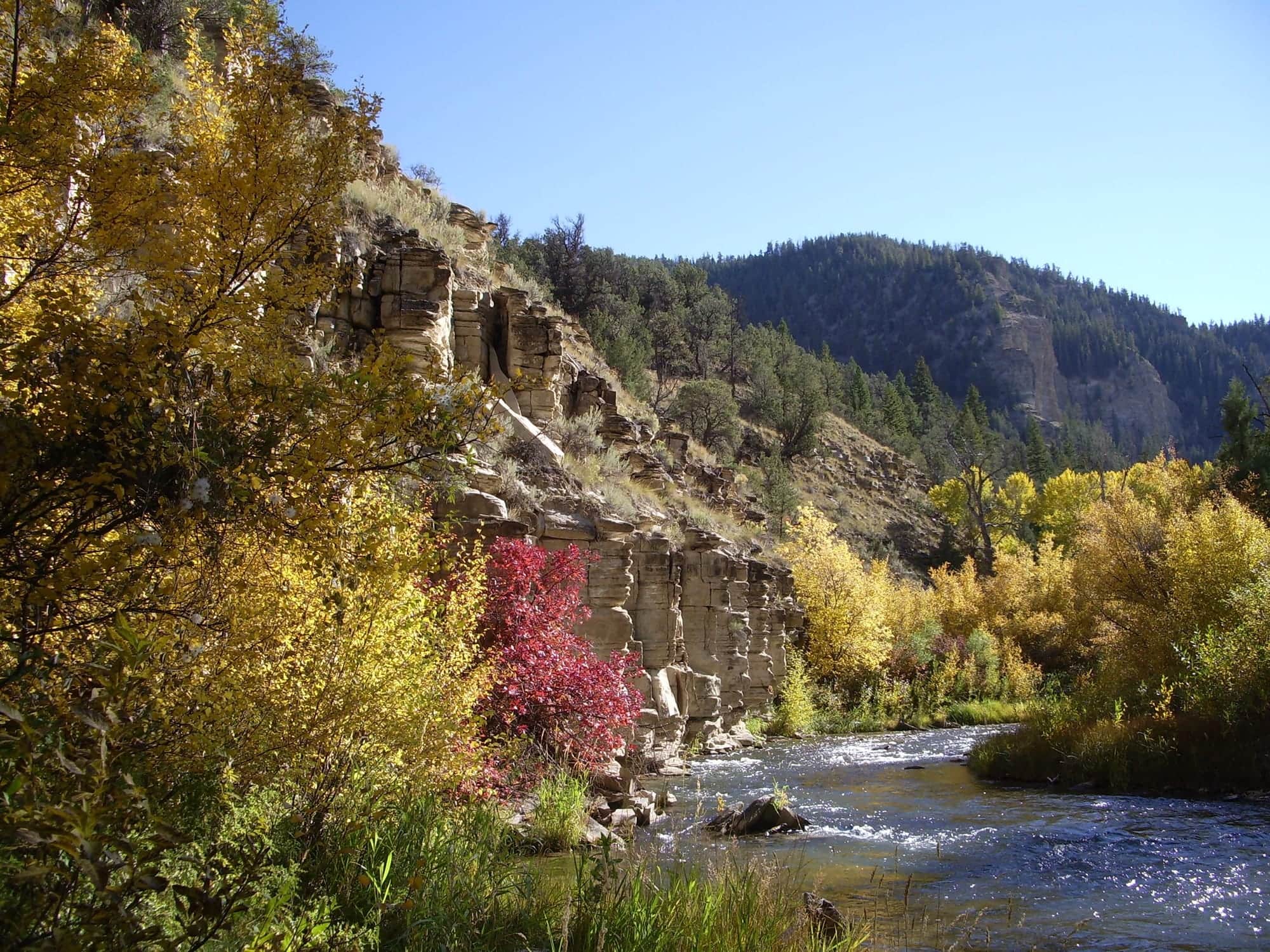 A real photograph of the Strawberry River in Utah during fall, with the exact subreach unspecified