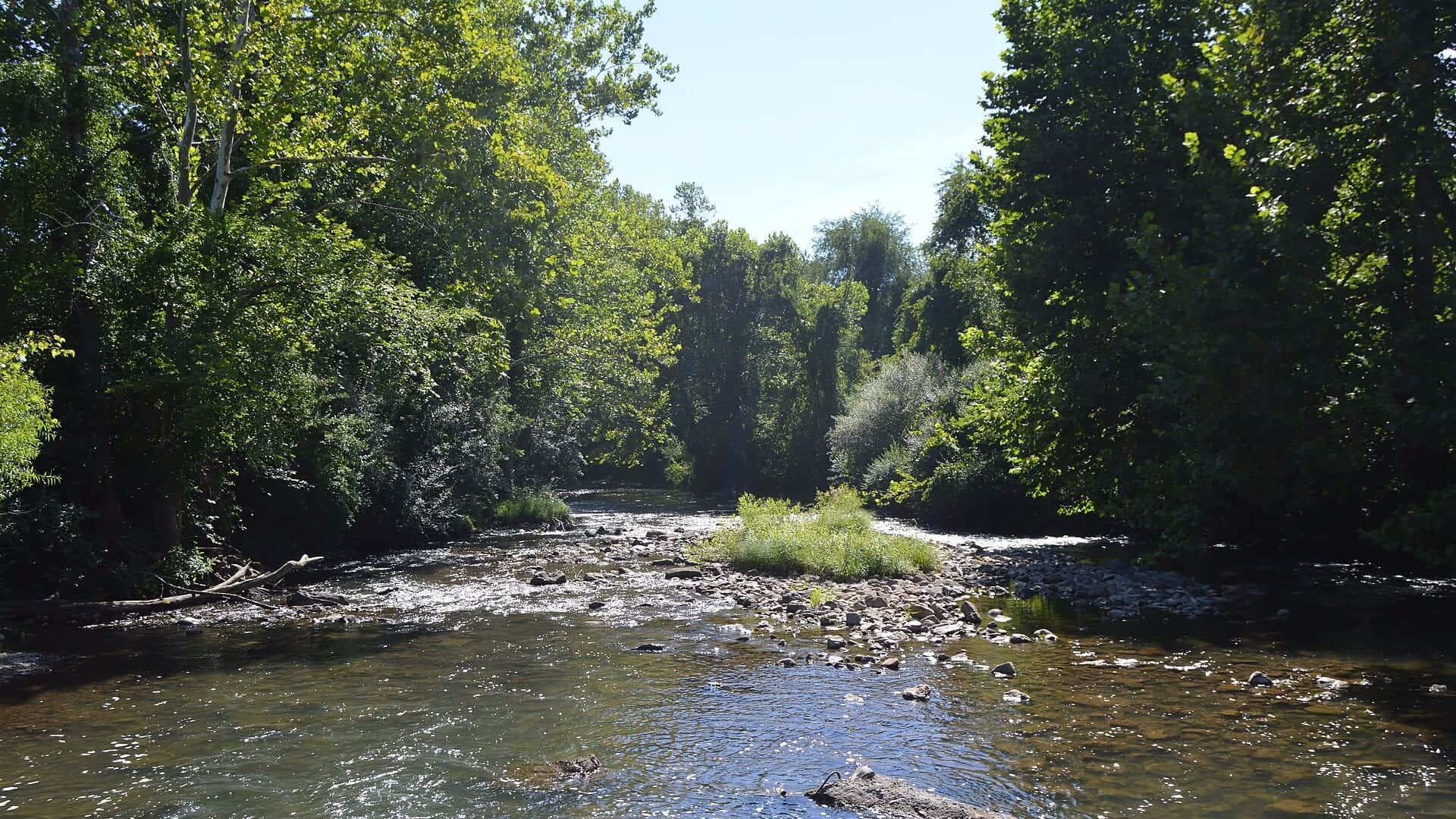 Jackson River water or watershed scenery in Virginia