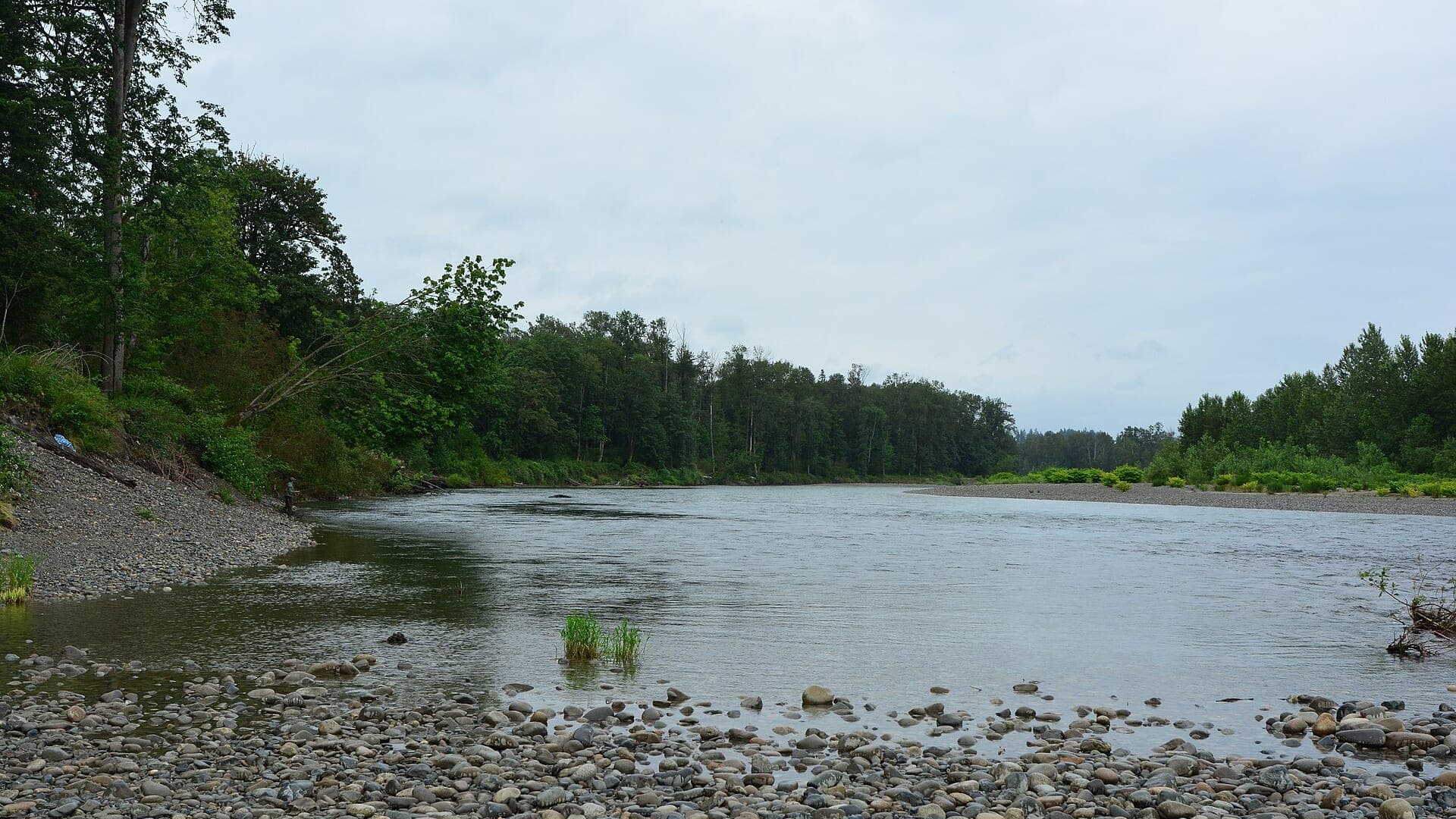 Skykomish River water or watershed scenery in Washington