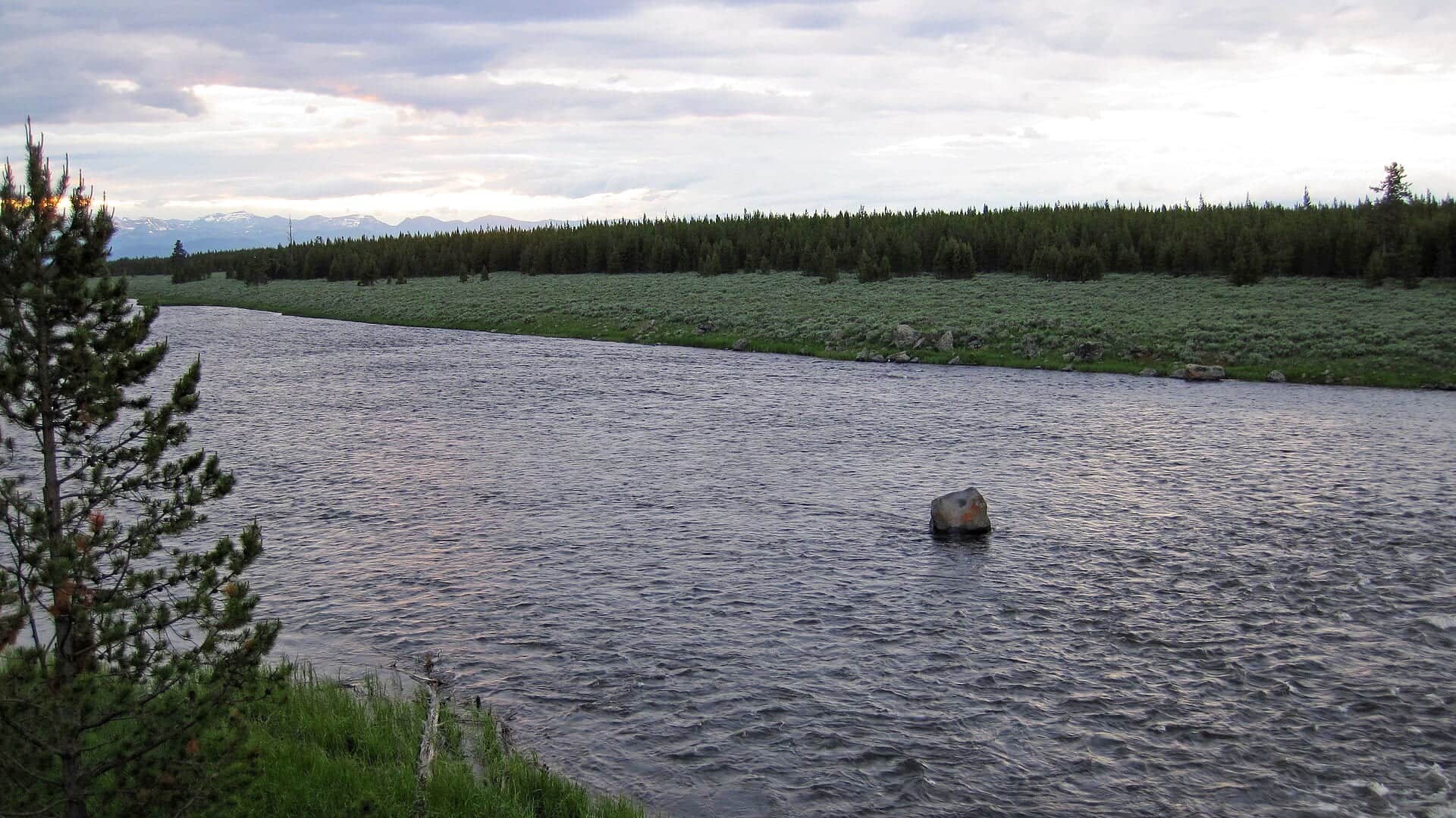 Madison River In Yellowstone Park water or watershed scenery in Wyoming