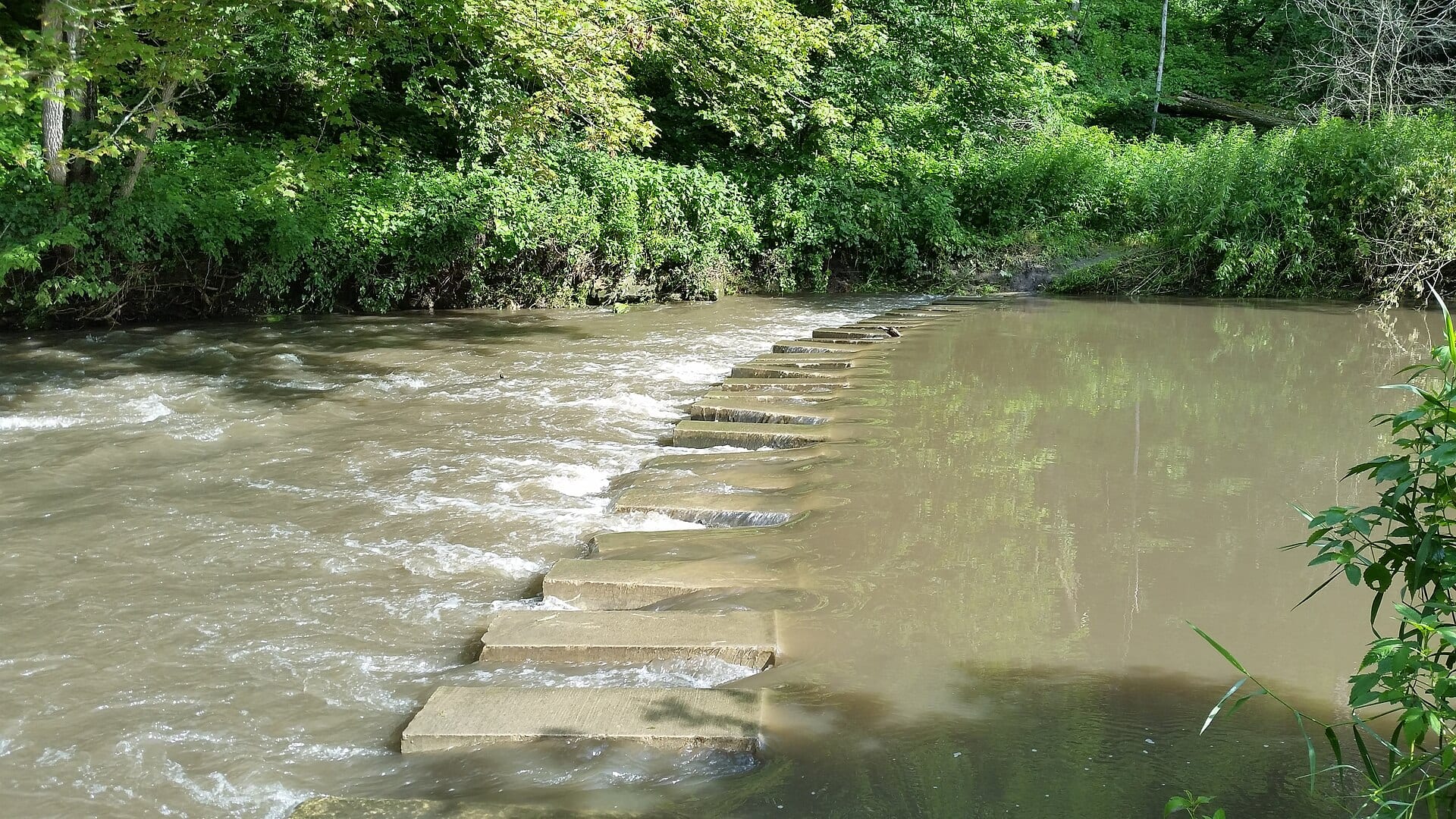 Whitewater River water or watershed scenery in Minnesota