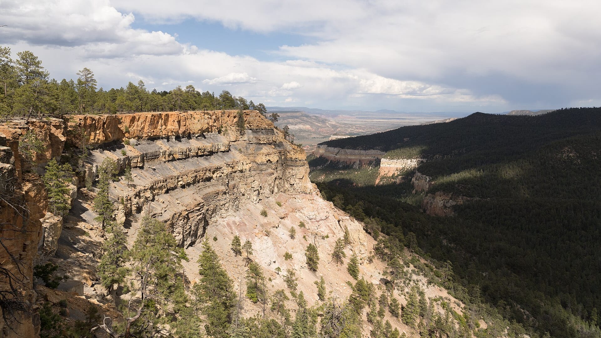 Chama River water or watershed scenery in New Mexico