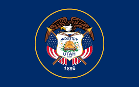 utah state flag fly fishing