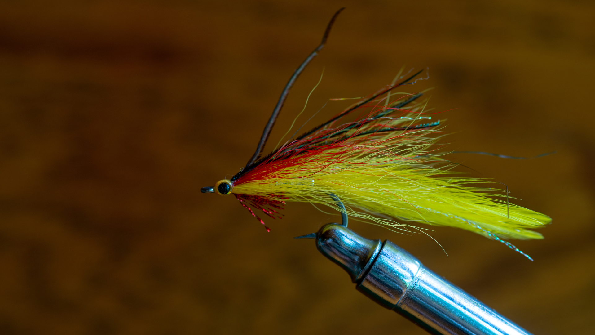 Smaller fish Streamer