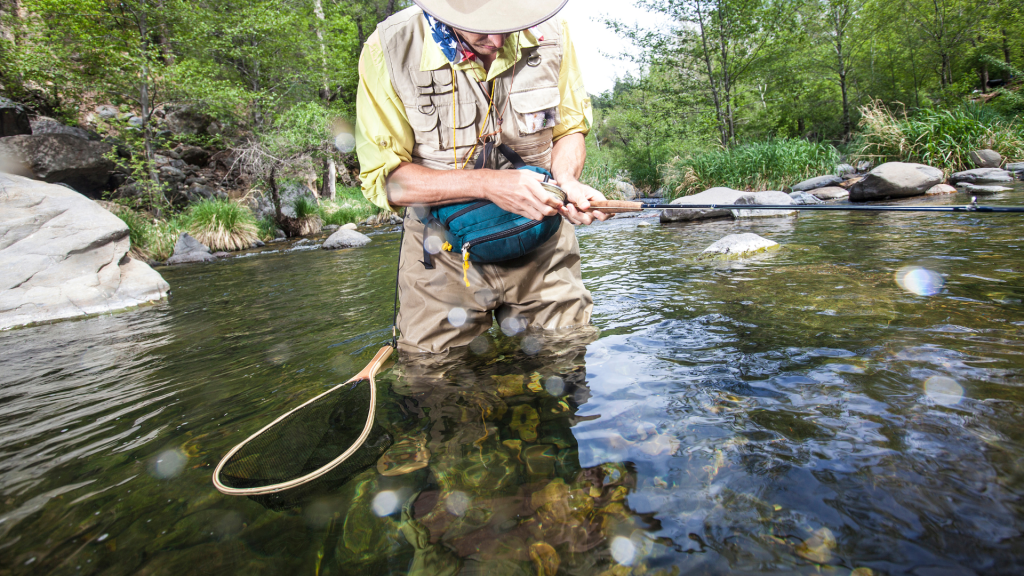 How To Cast A Fly Fishing Rod: 15 Essential Tips