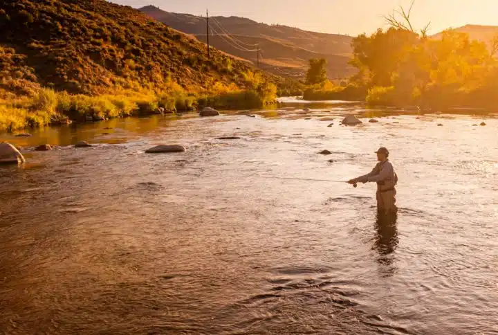 Euro nymph fly fishing setup