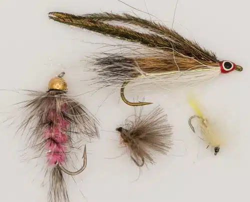 Top 20 Fly Fishing Flies for Trout